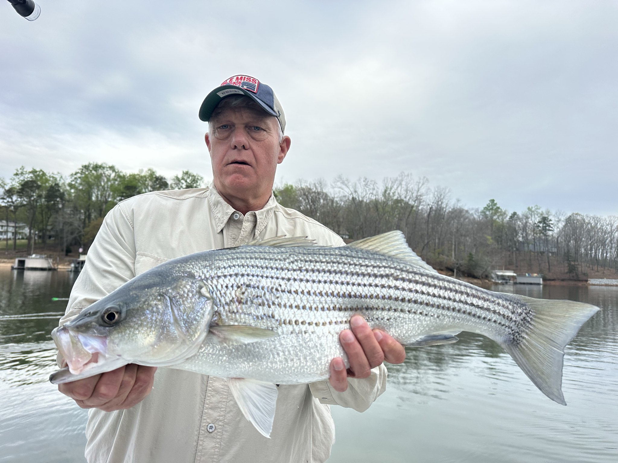 Striped Bass — March 2026