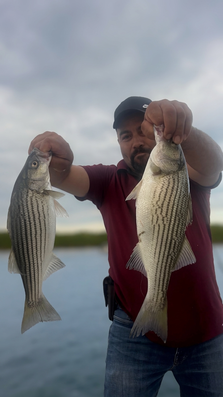 2 striped bass caught on Lake Lanier, Sept 19, 2026