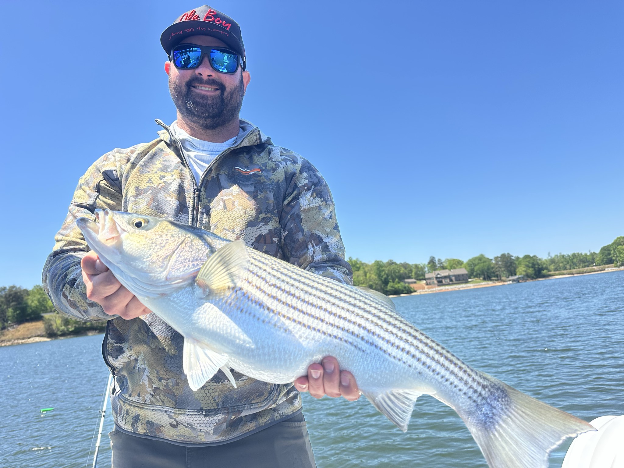 Striped Bass — April 2026