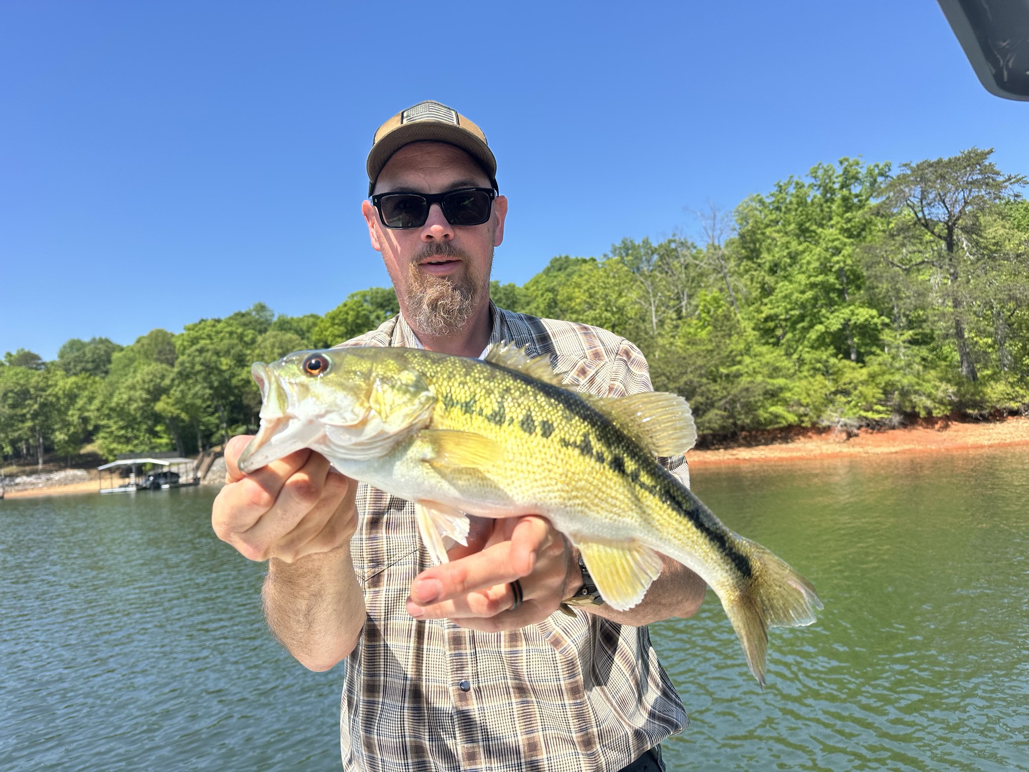 Striped Bass And Spotted Bass On Lake Lanier