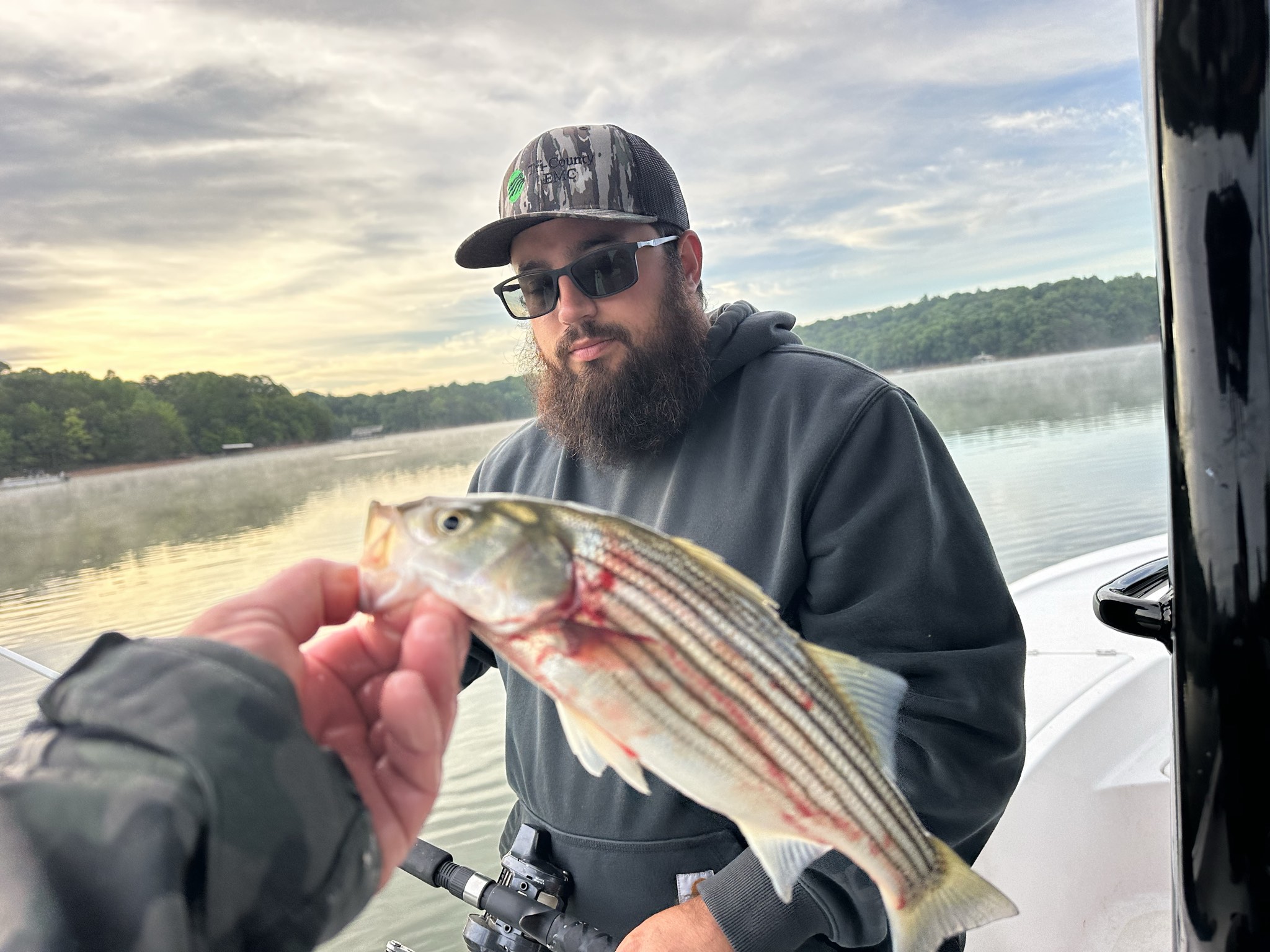 Striped Bass — May 2026