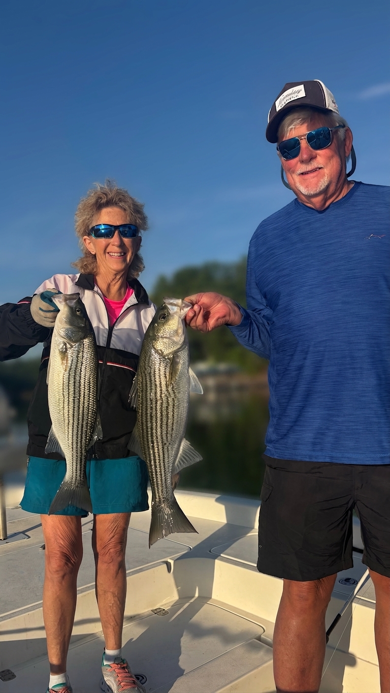 Striped Bass And Spotted Bass Dominate Lake Lanier