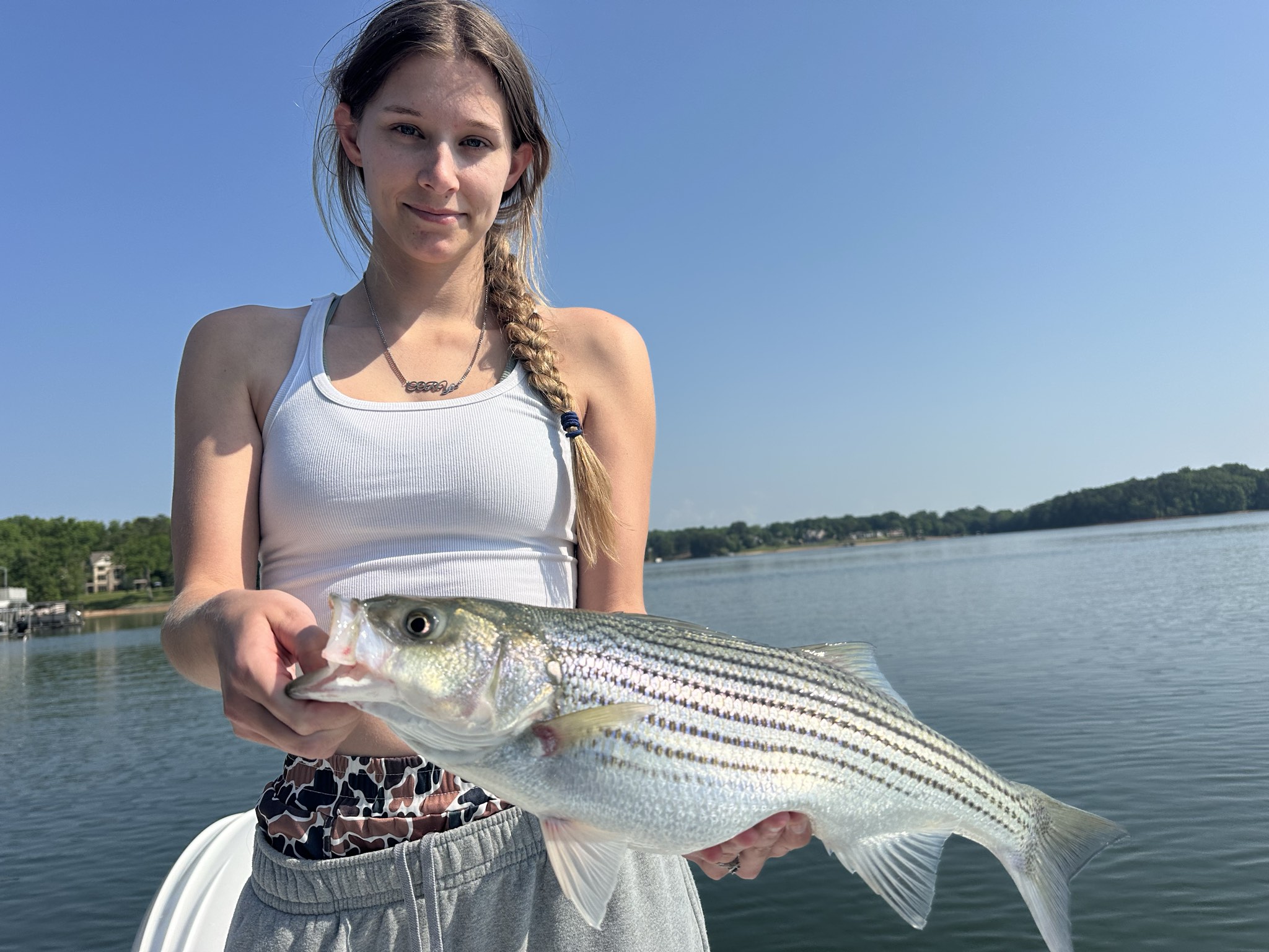 Striped Bass — April 2026