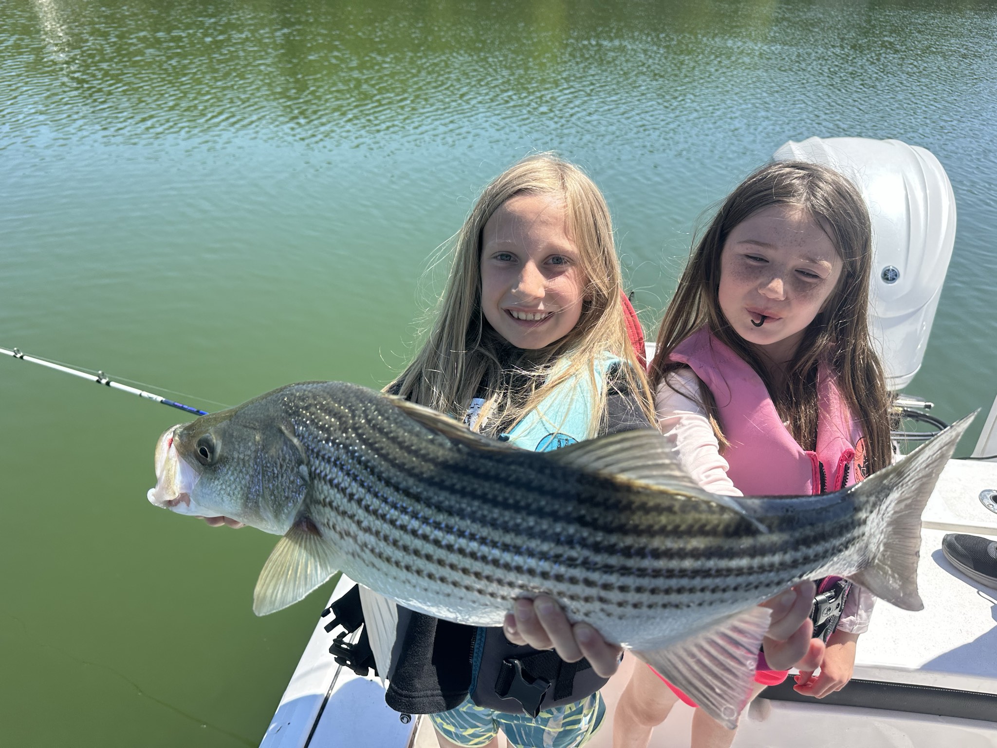 Striped Bass — May 2026