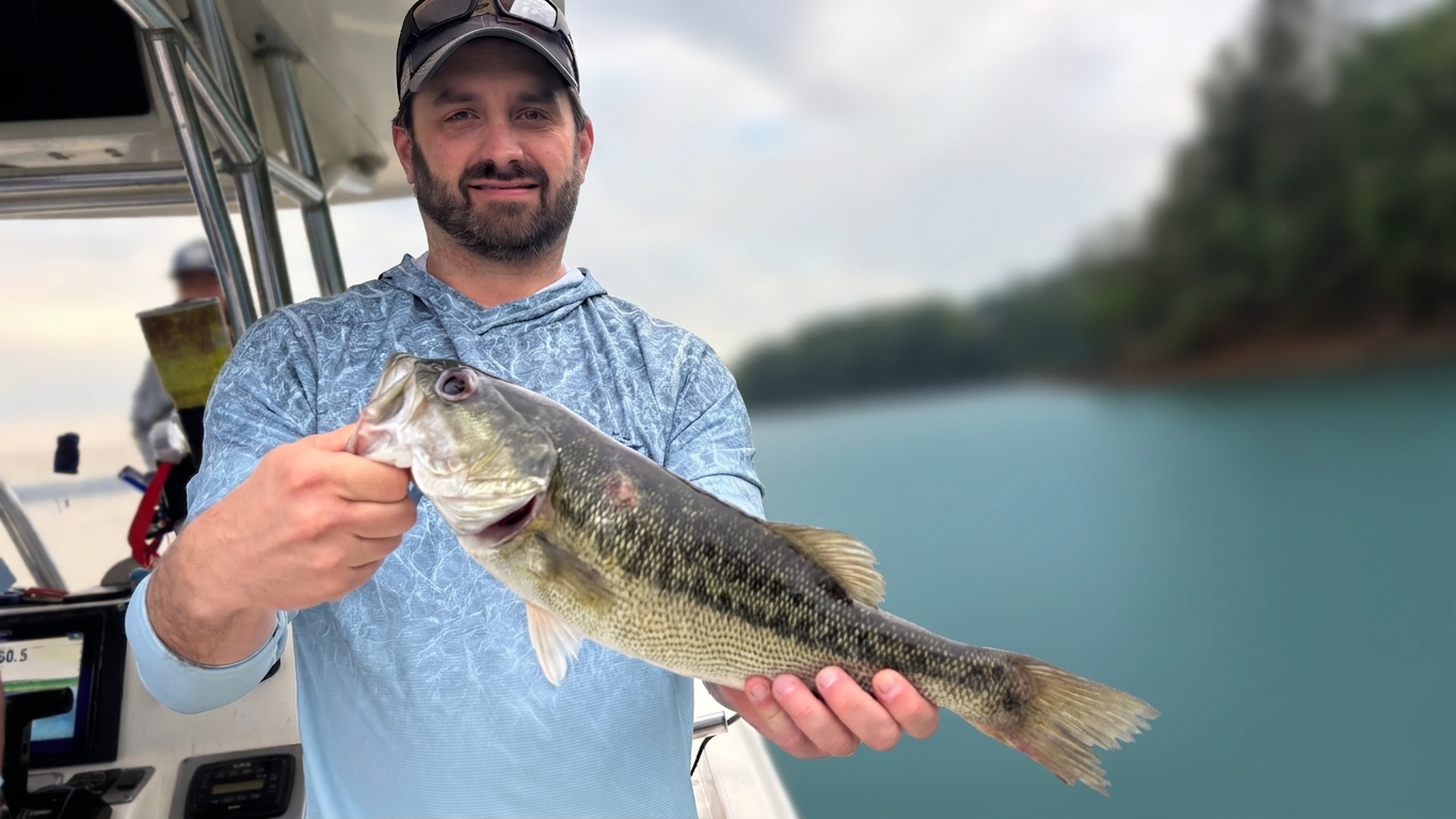 May Striped Bass Bite Lake Lanier