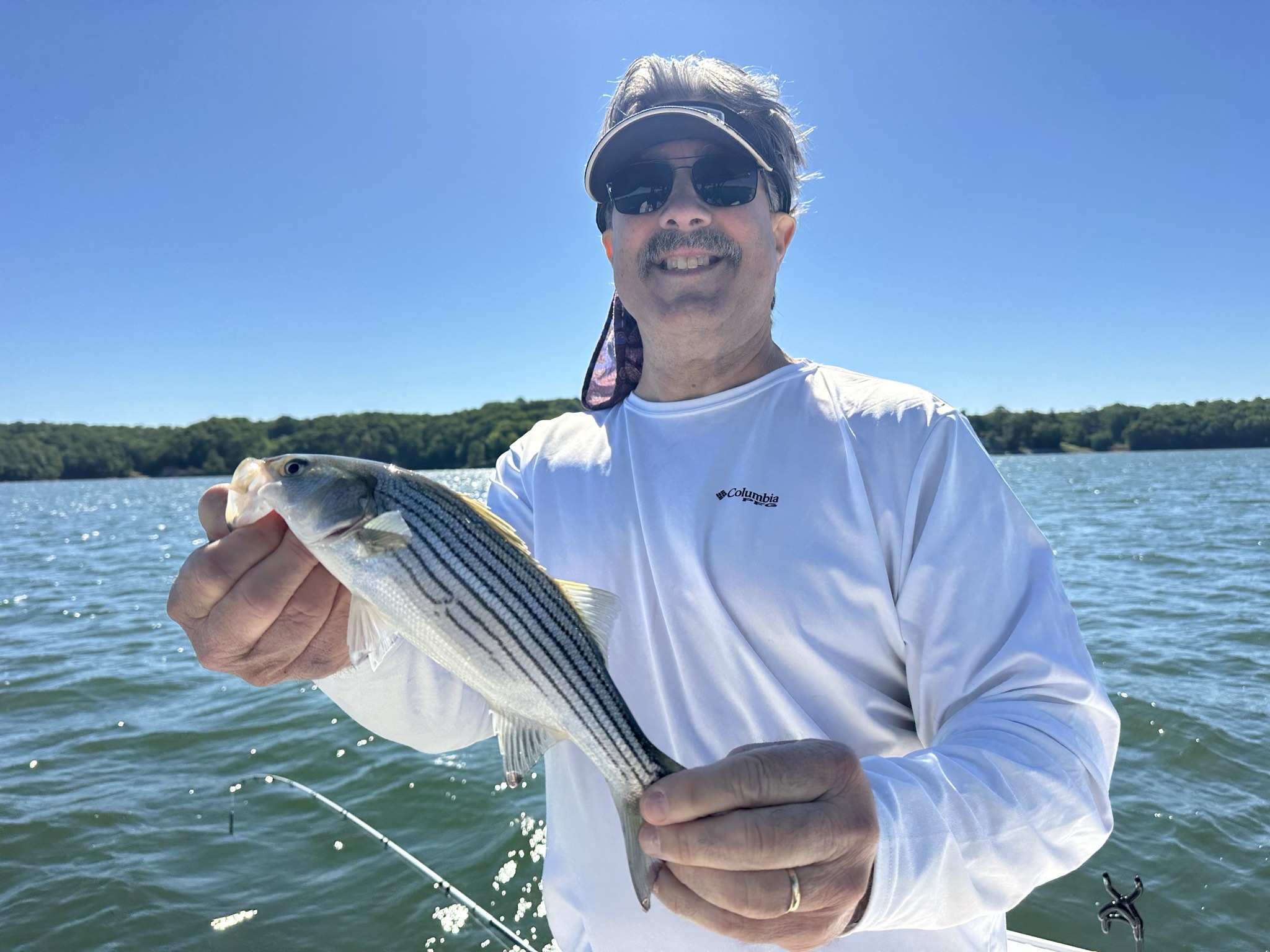 Striped Bass — May 2026