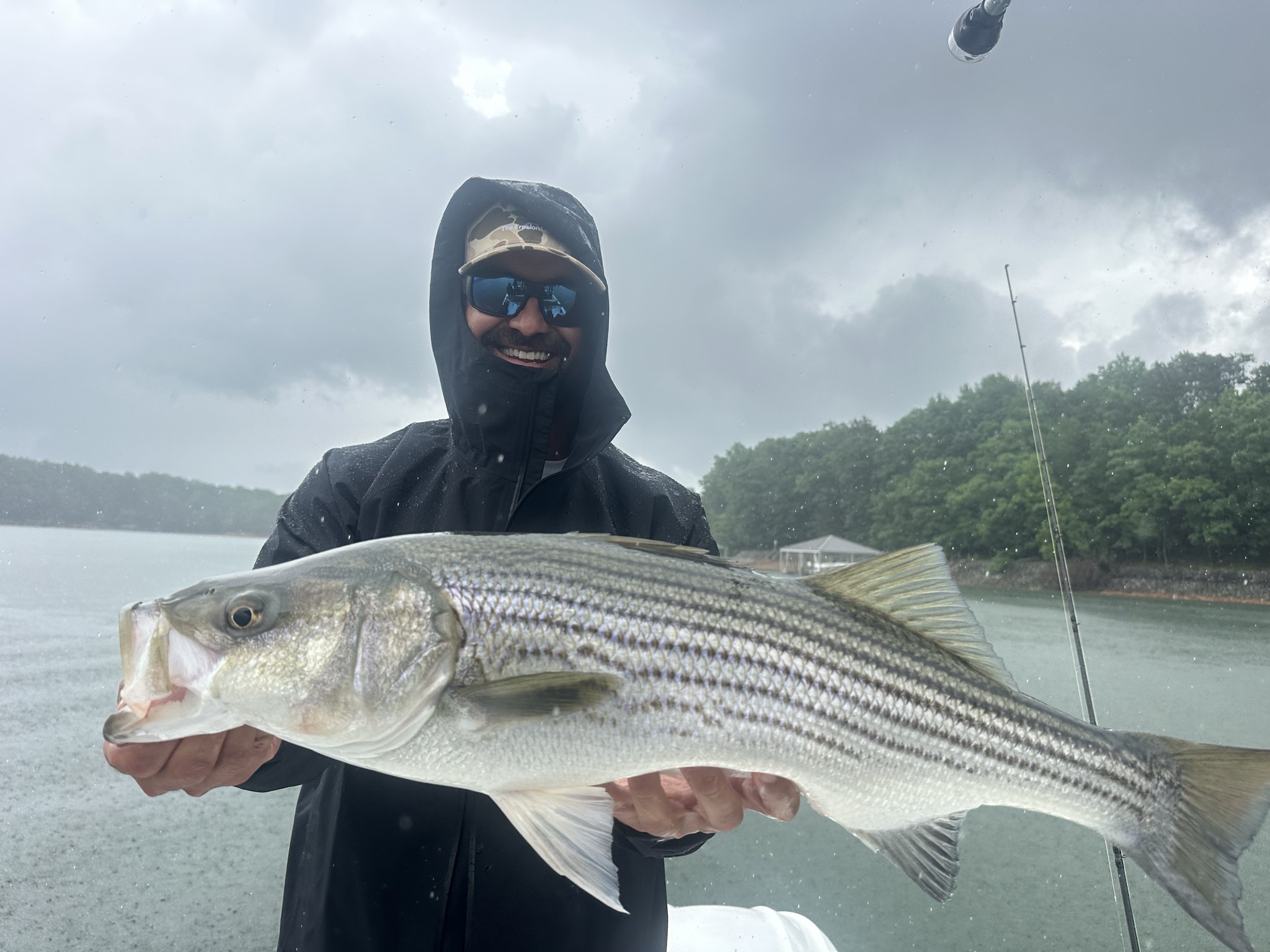 Striped Bass — May 2026