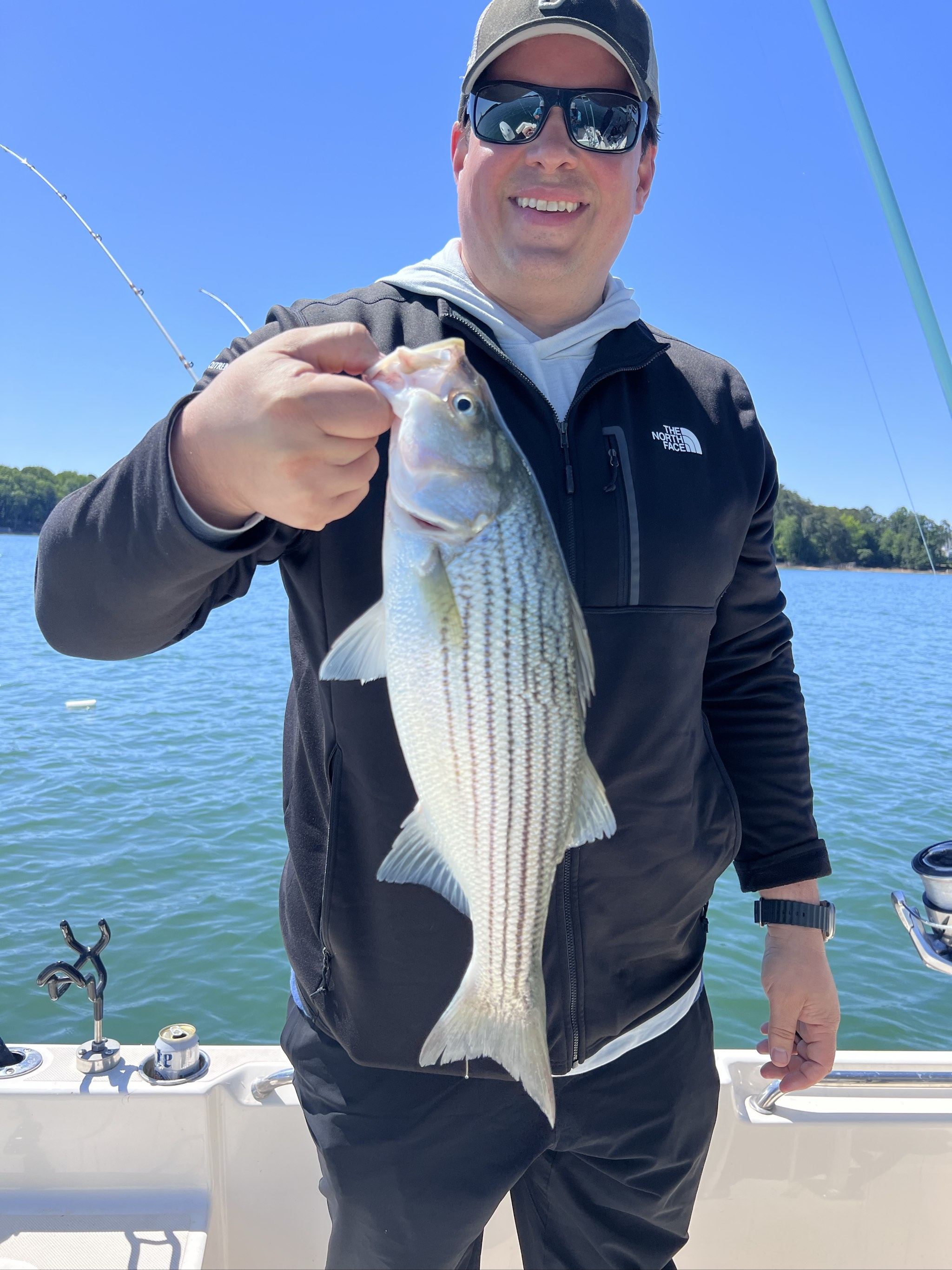 Spotted And Striped Bass On Lake Lanier