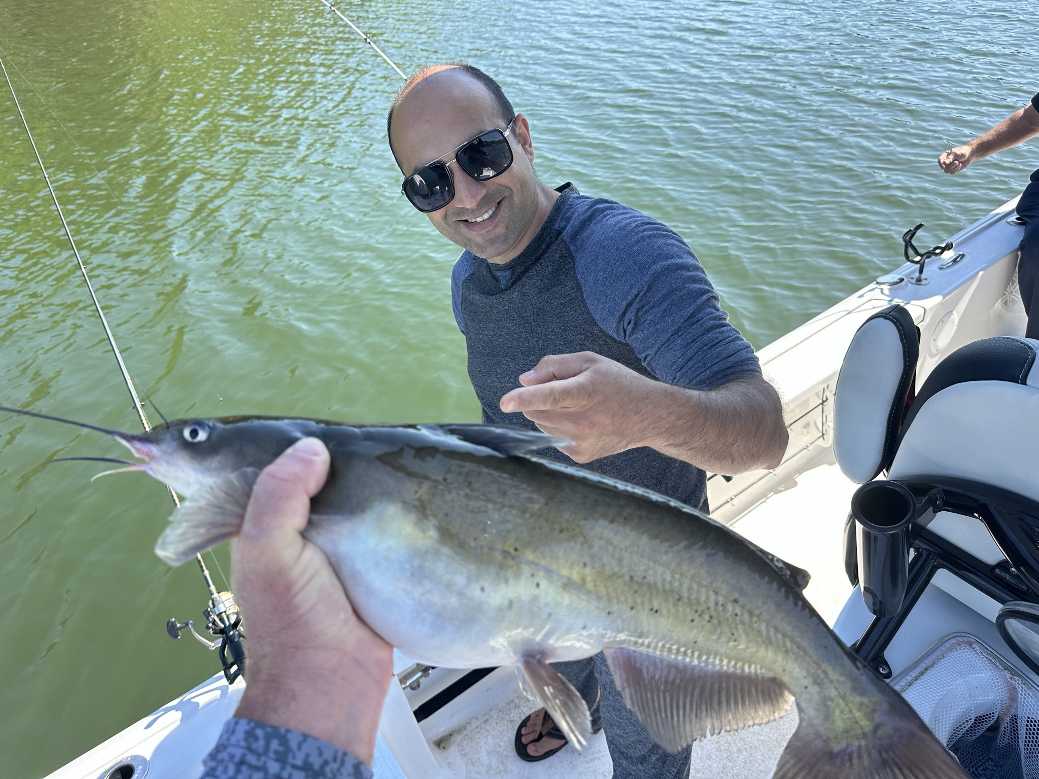 Striped Bass And Spotted Bass On Lake Lanier