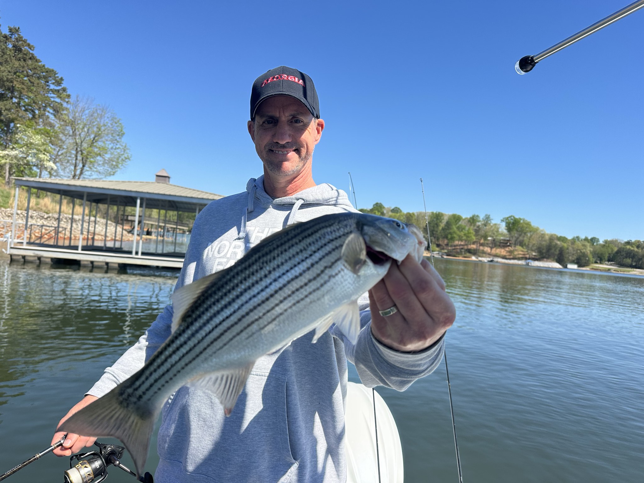 April Striped Bass And Spotted Bass On Lake Lanier