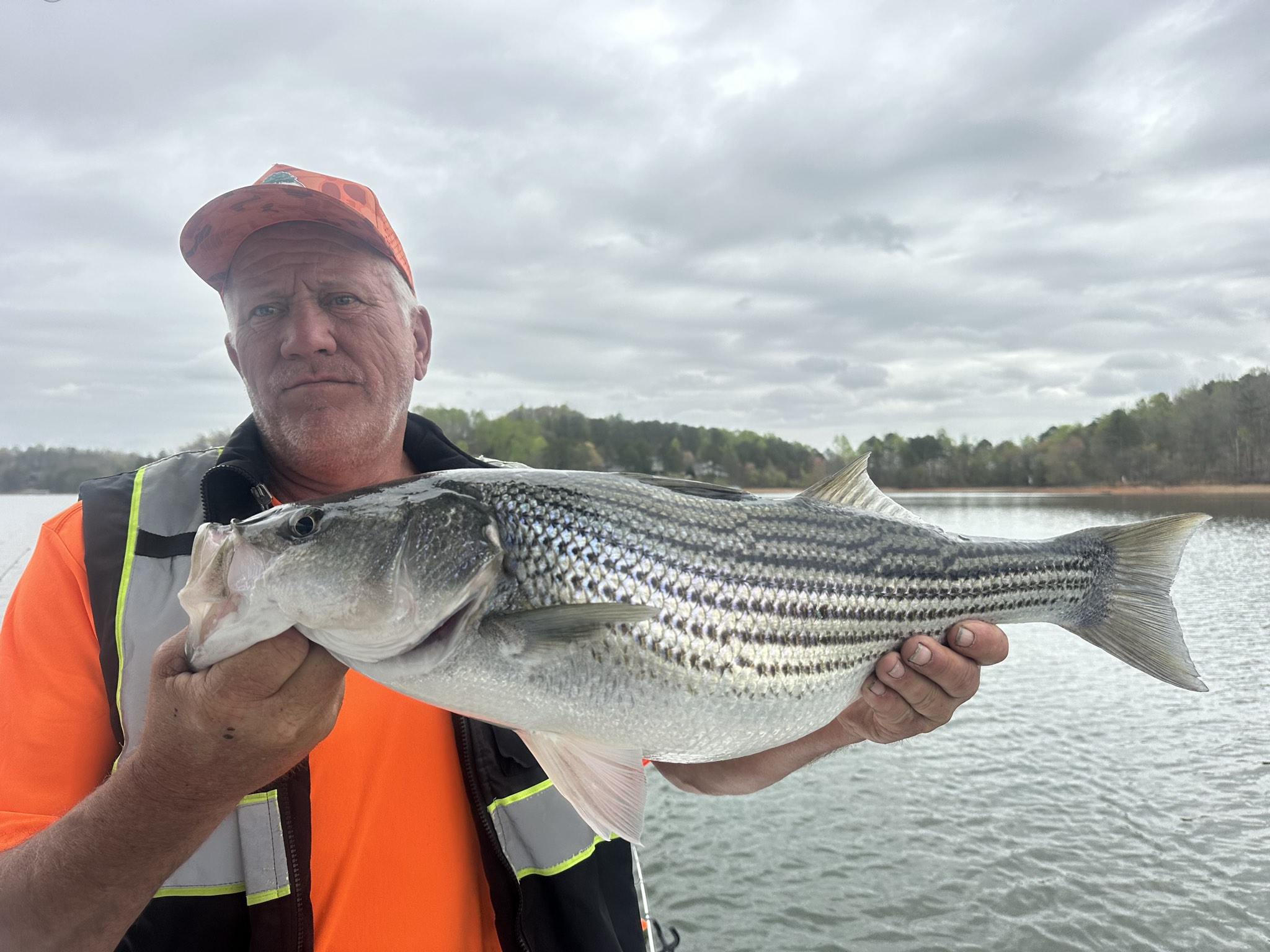 Striped Bass — March 2026