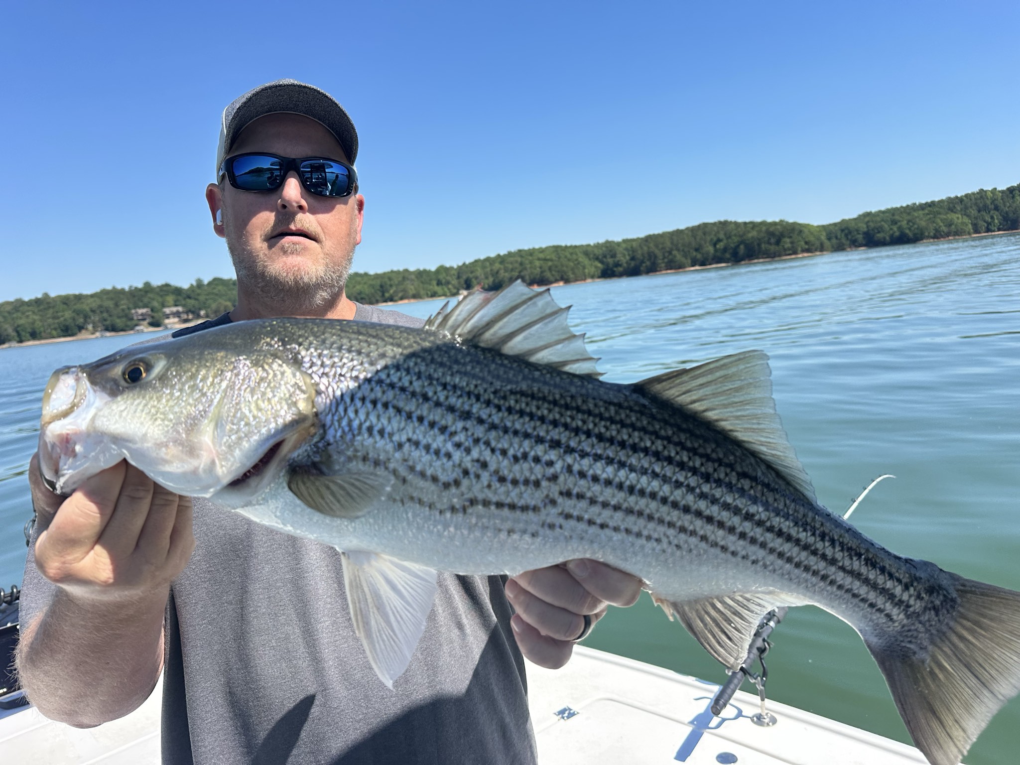 Twenty Fish Day: Striped Bass & Spotted Bass