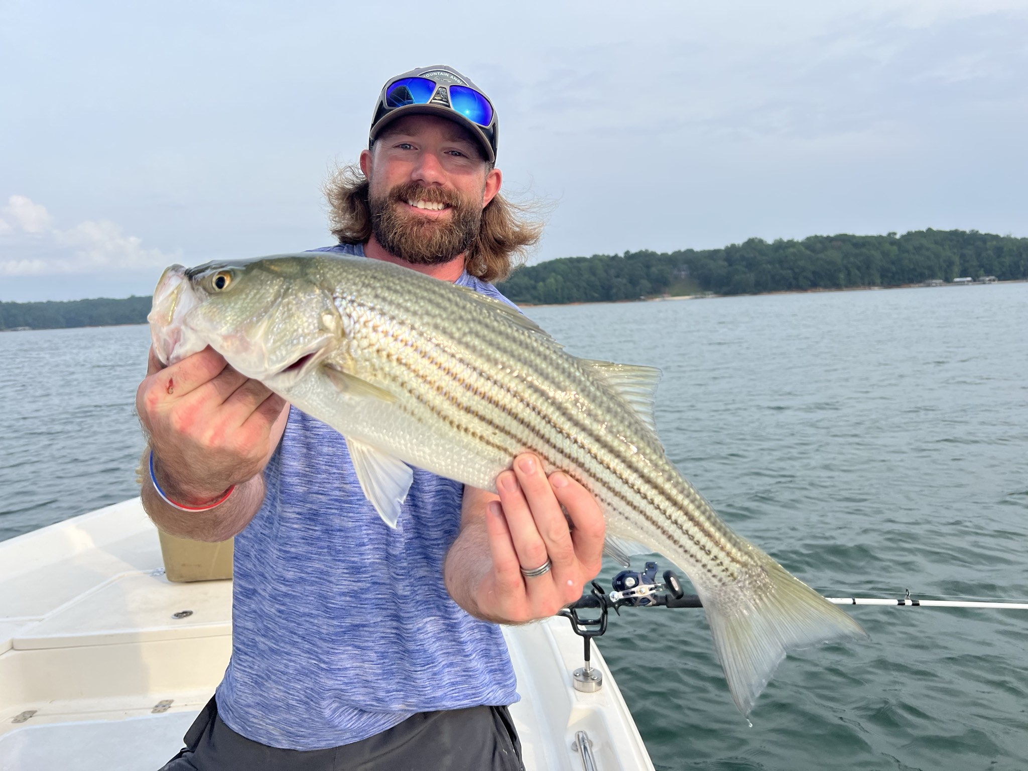 Striped Bass Action On Lake Lanier