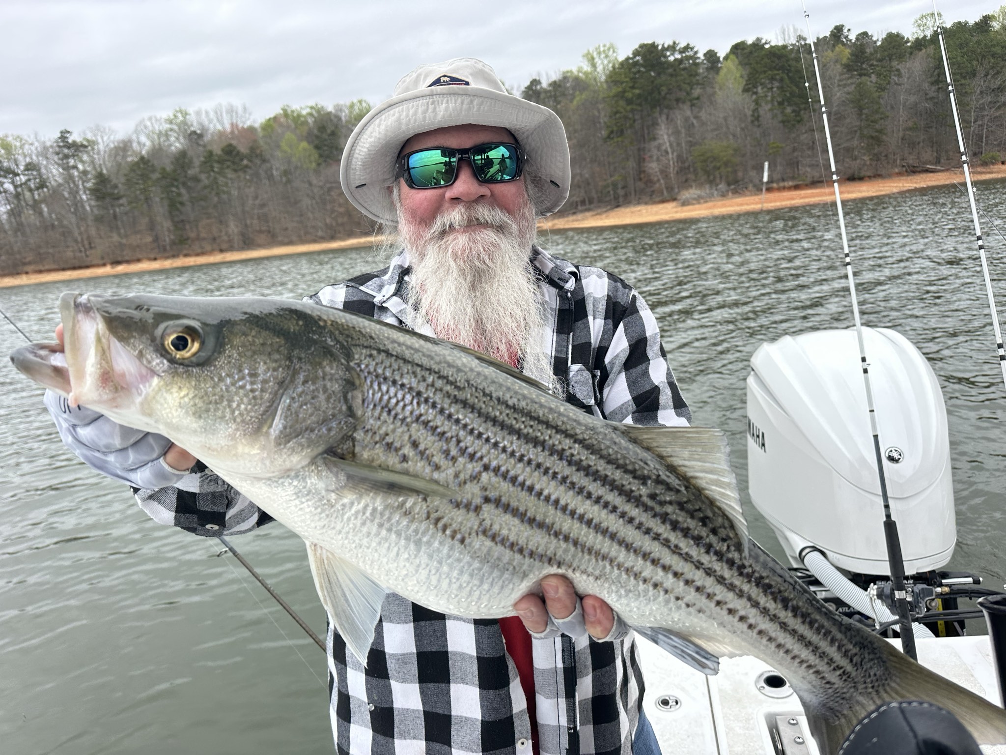 Striped Bass — March 2026