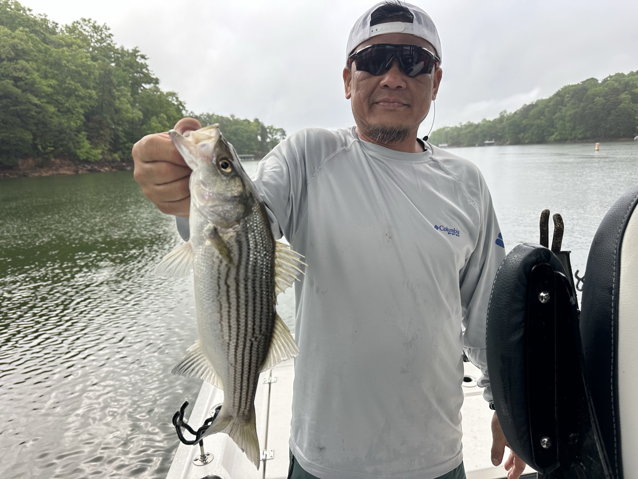 Lake Lanier May Striped Bass Success