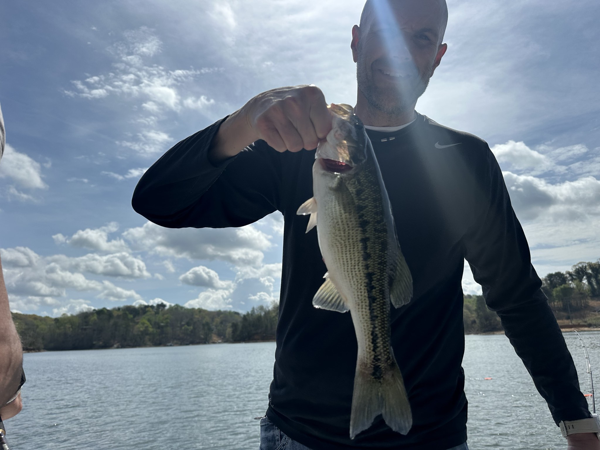 Striped Bass — April 2026