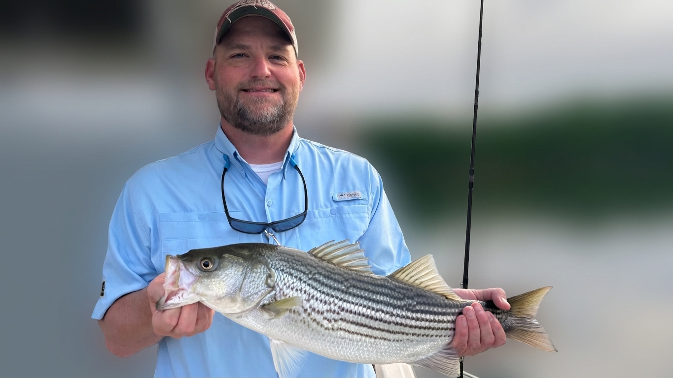 May Striped Bass Bite Lake Lanier