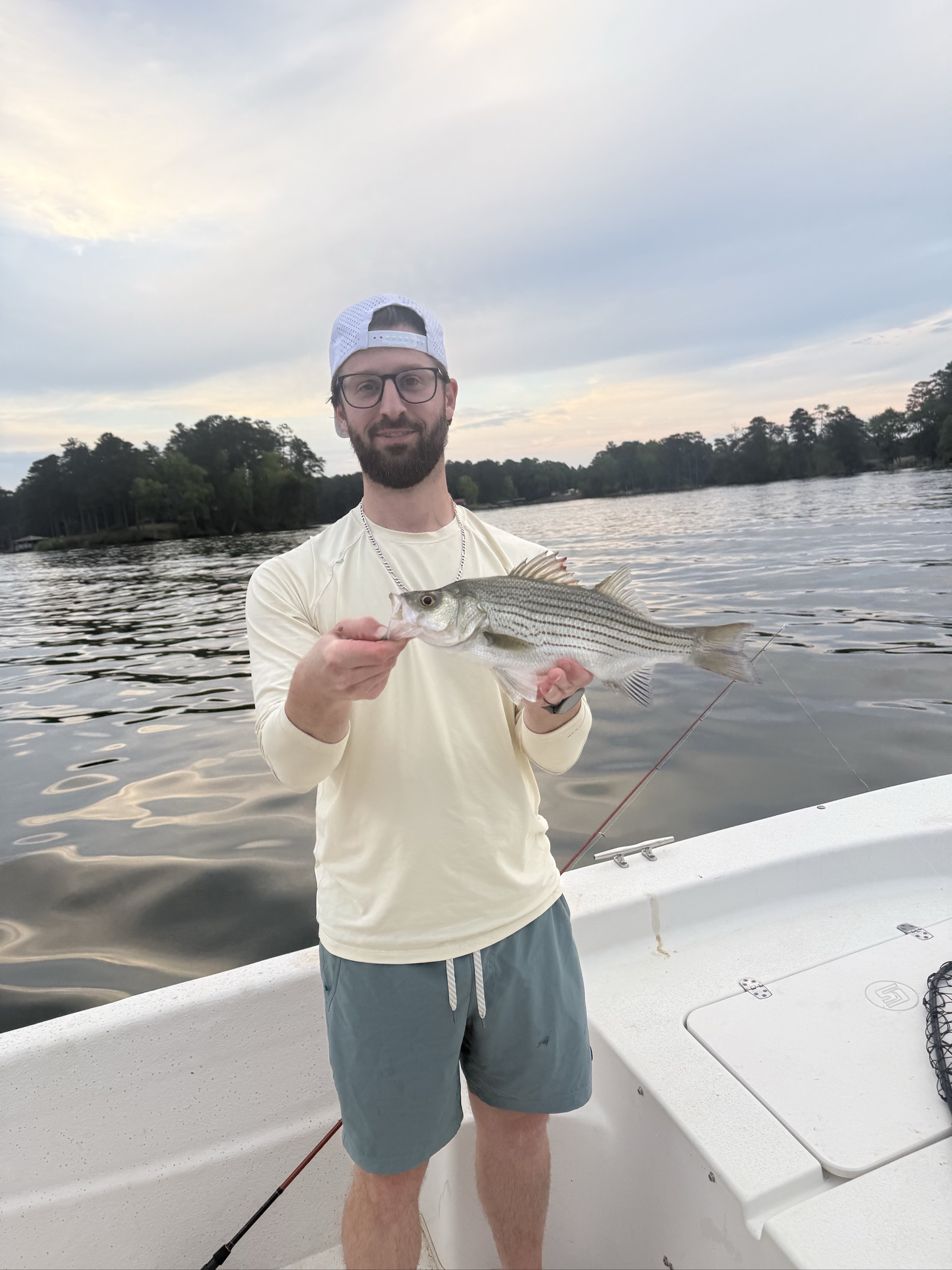 Striped and Spotted Bass Action at Jackson Lake
