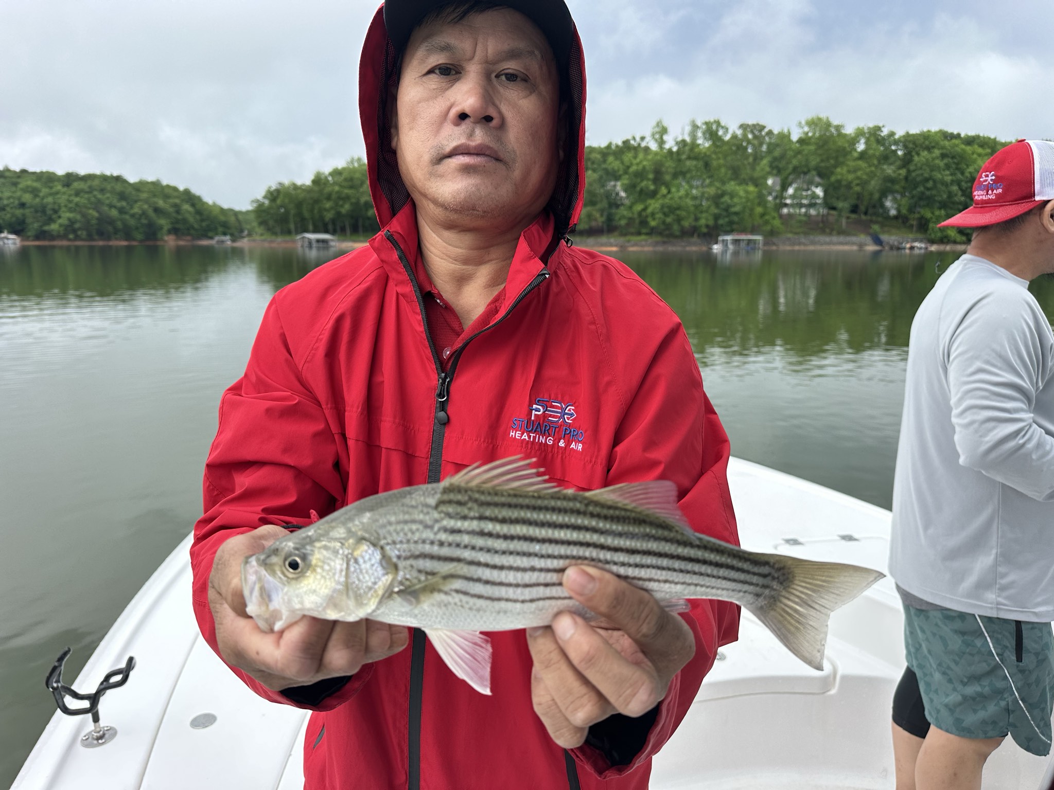 Lake Lanier May Striped Bass Success