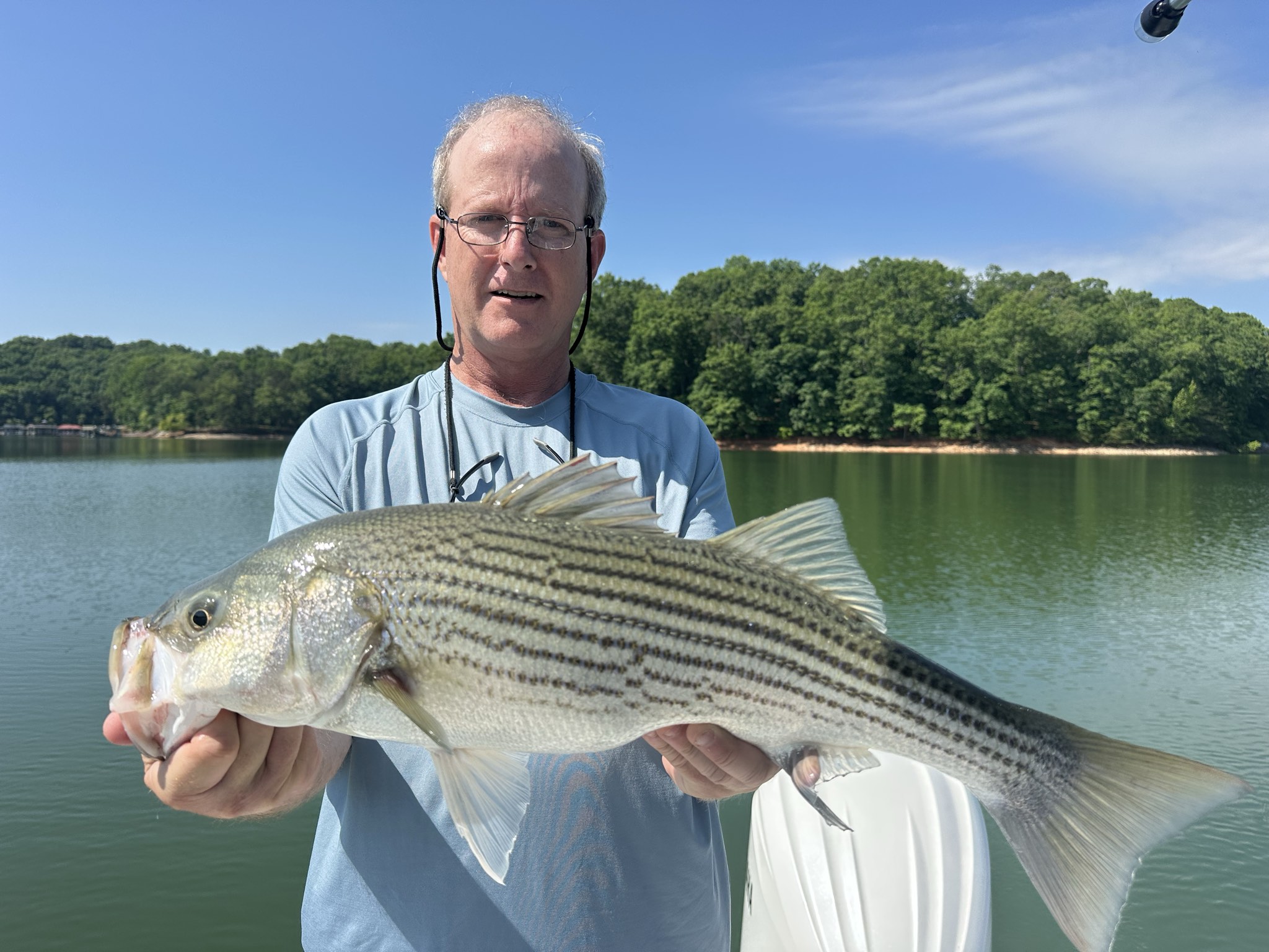 Striped Bass — May 2026