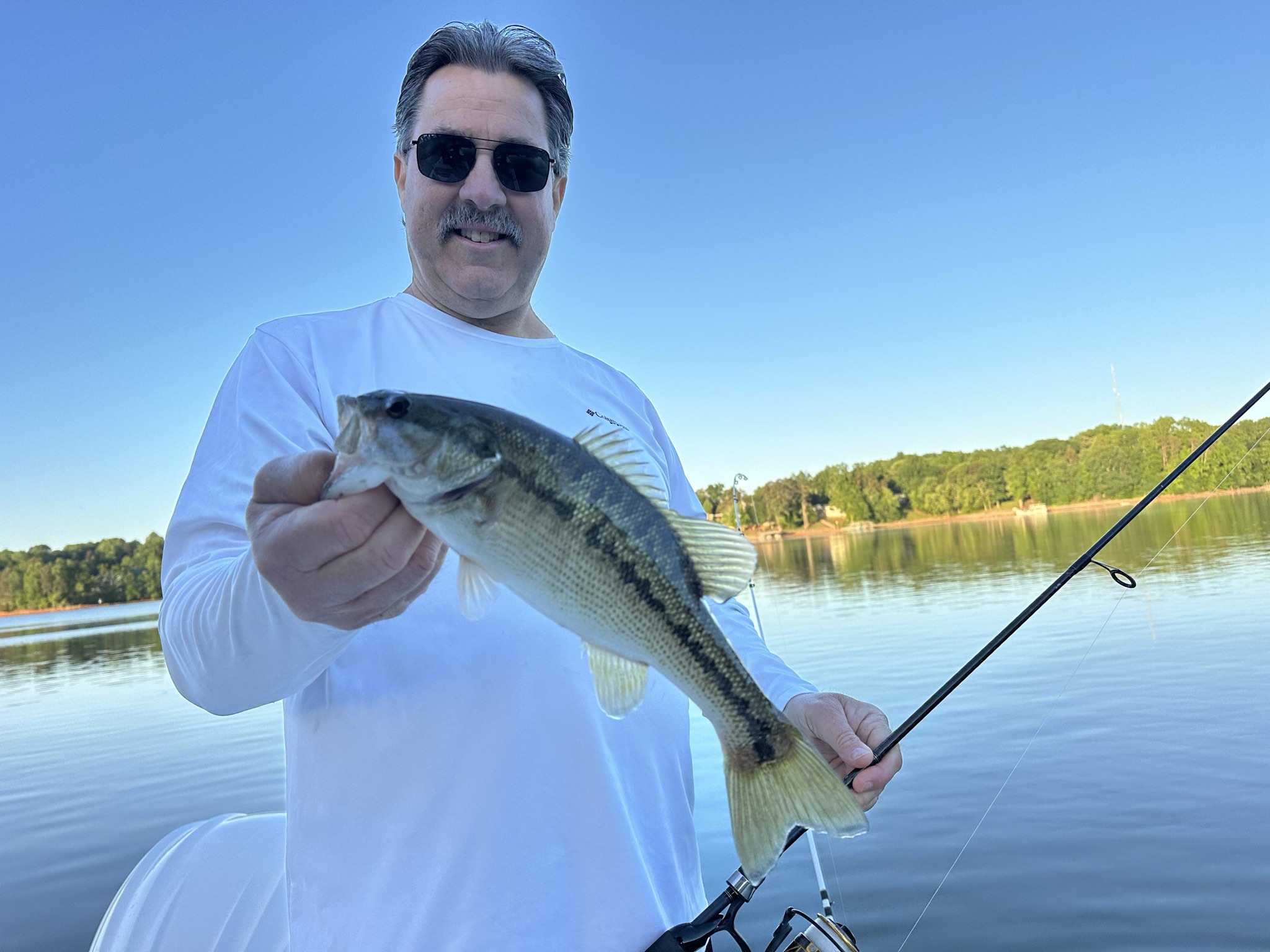 Striped Bass — May 2026