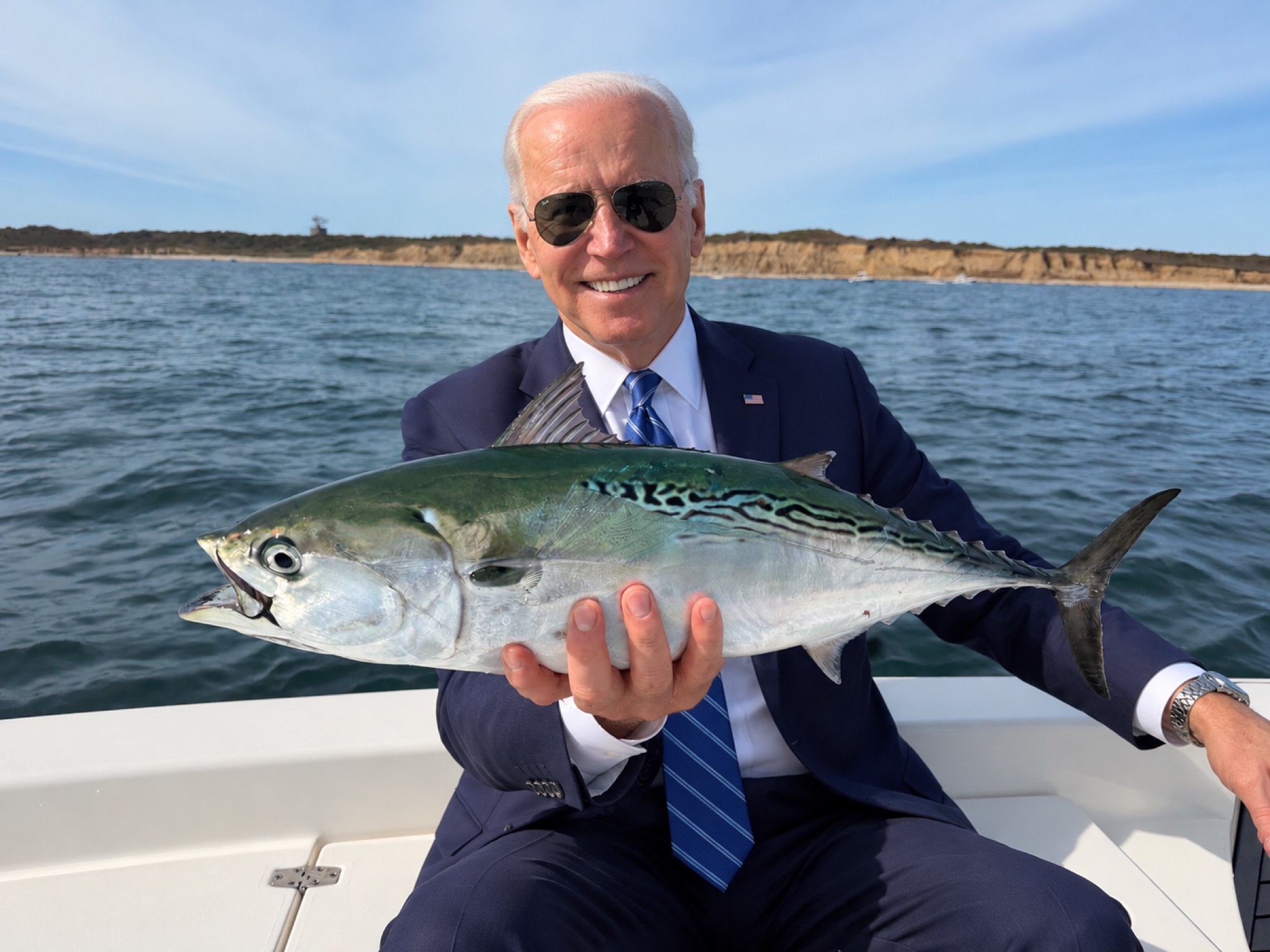 Atlantic bonito caught out of Boston, Oct 10, 2026