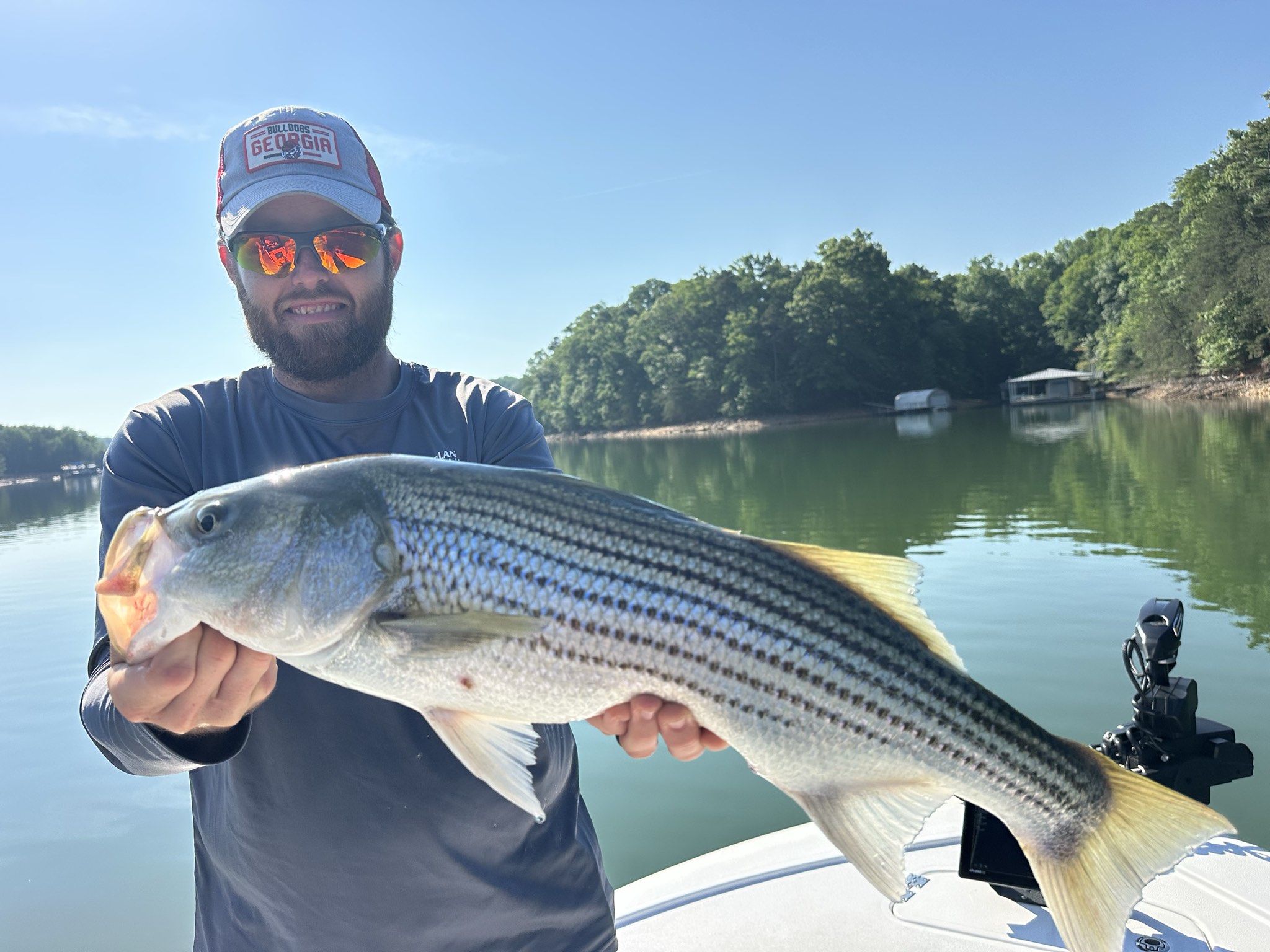 Striped Bass — May 2026