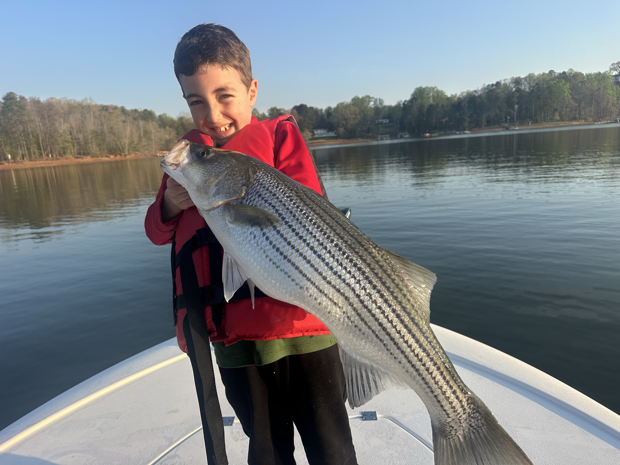 March Striper Action on Lake Lanier