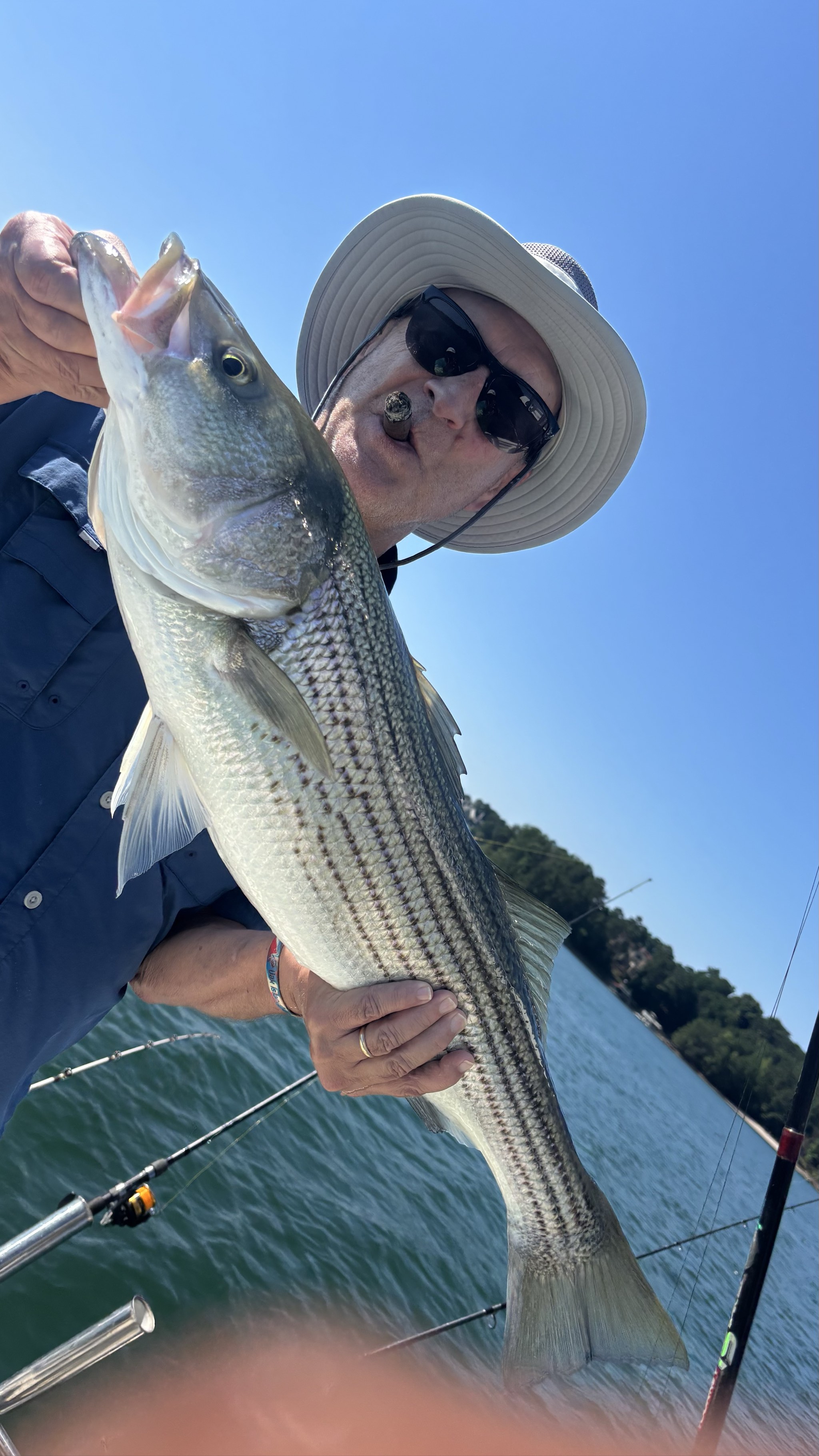 Summer Stripers Dominate Lake Lanier