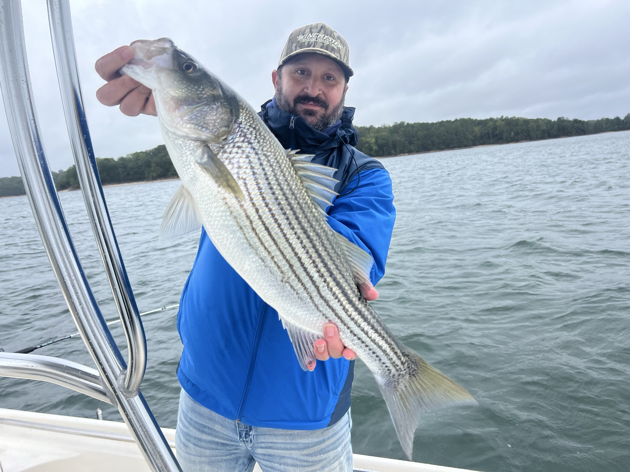 Striped bass caught on Lake Lanier, Oct 11, 2026