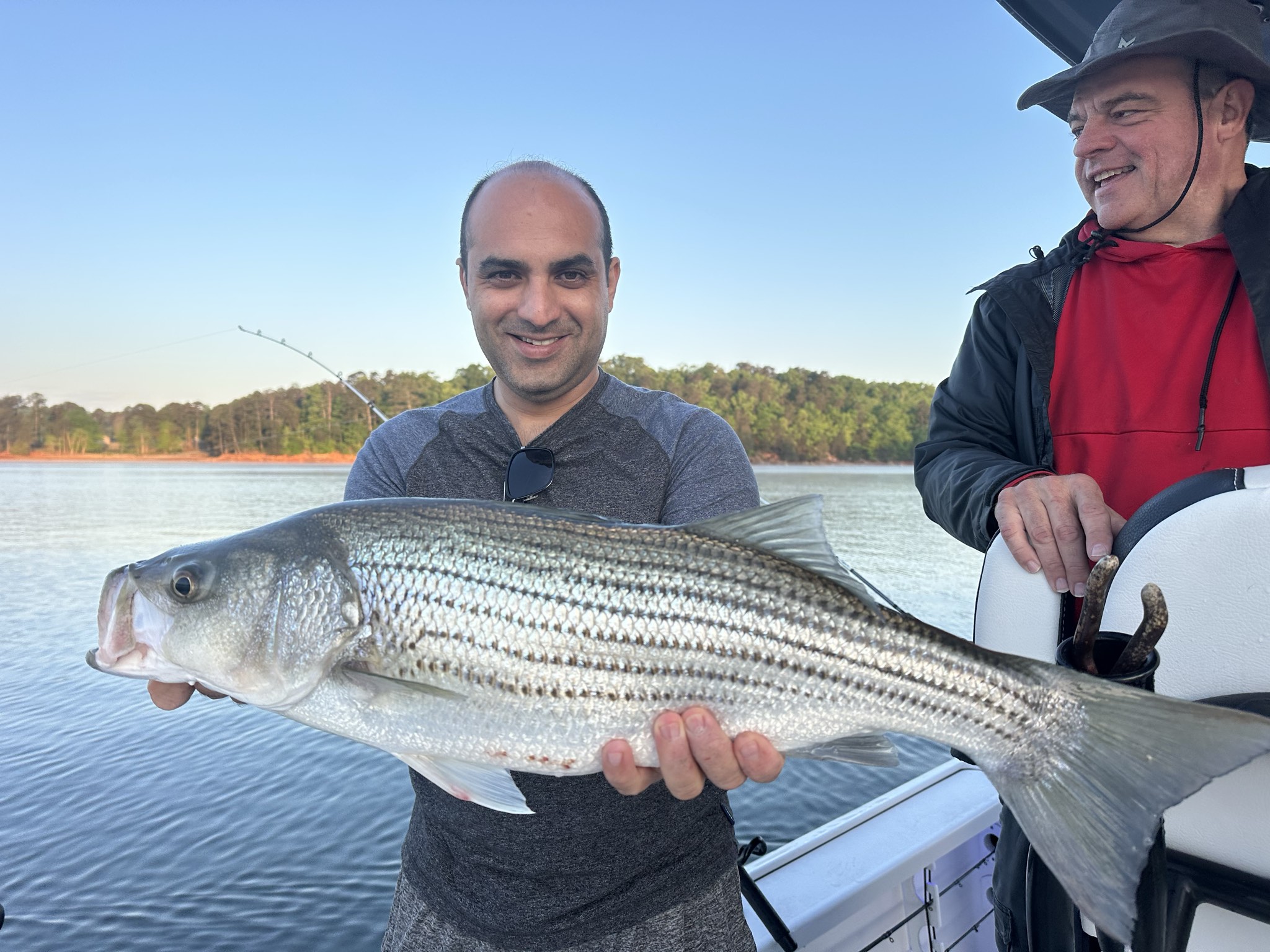 Striped Bass And Spotted Bass On Lake Lanier