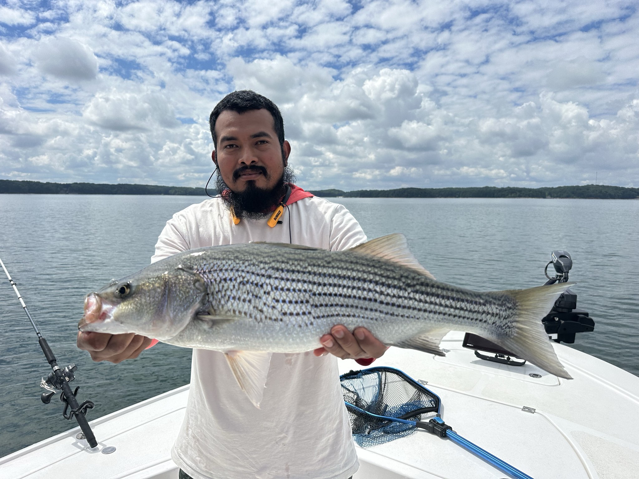 Seventeen Bass Lake Lanier Summer Success