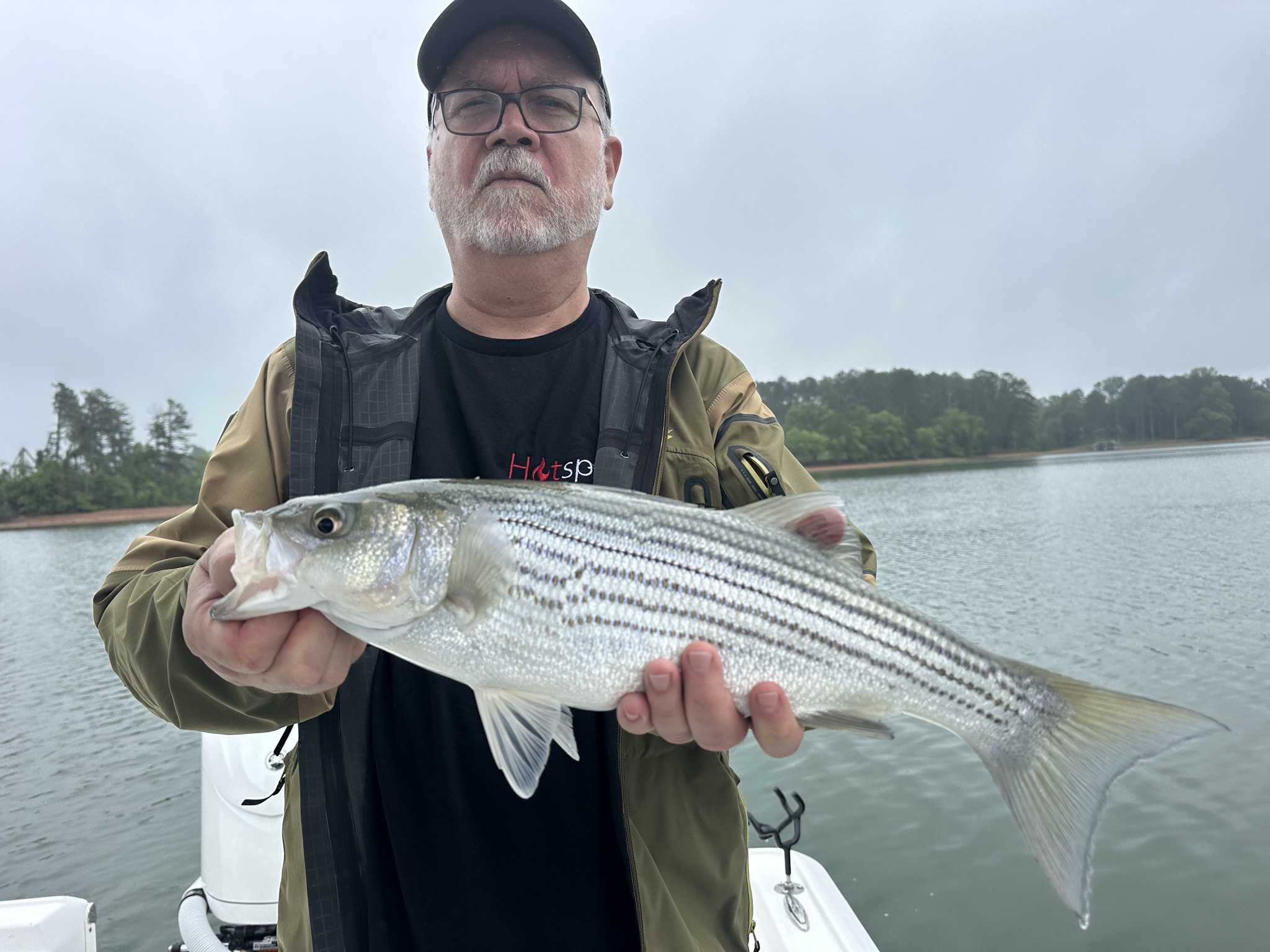 Striped Bass And Spotted Bass Action On Lake Lanier