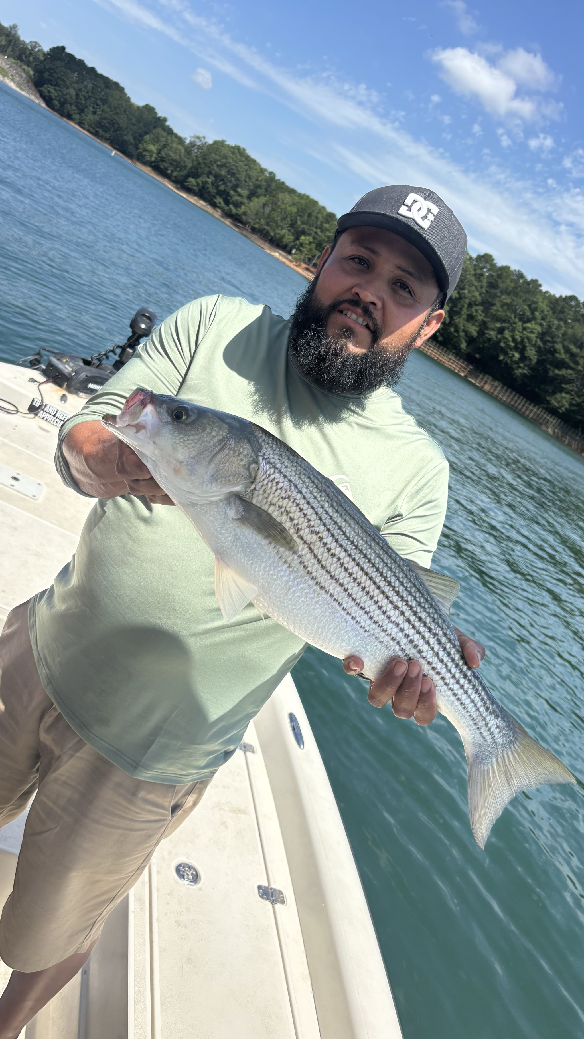 Striped And Spotted Bass Lake Lanier June