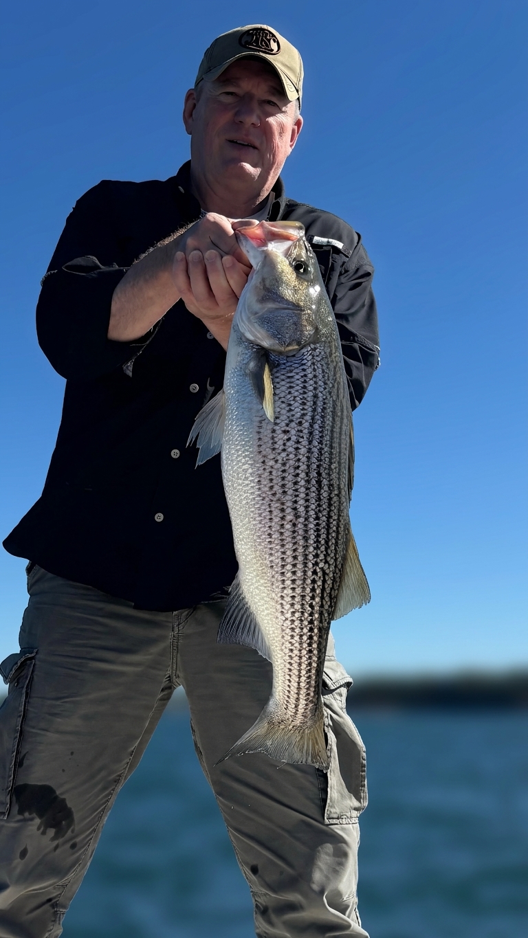 September Striped Bass Action at Lake Lanier