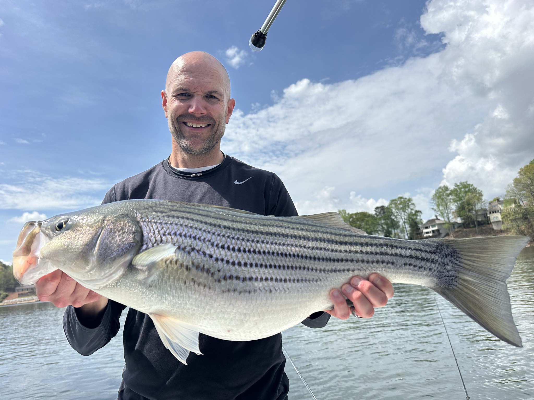 Striped Bass — April 2026