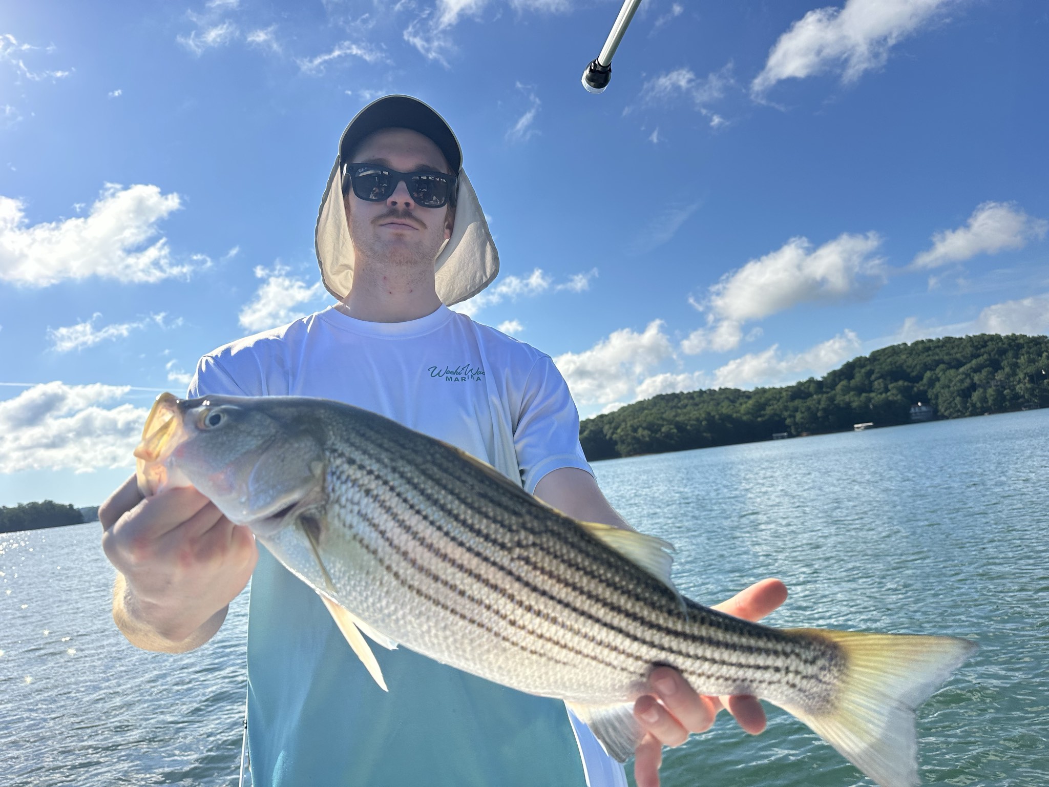 Striped Bass — June 2026