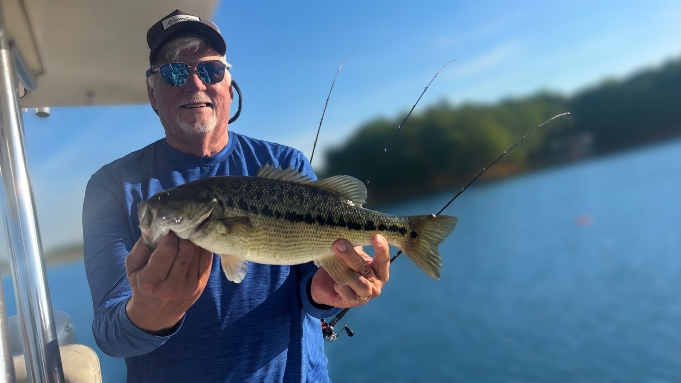 Striped Bass And Spotted Bass Dominate Lake Lanier