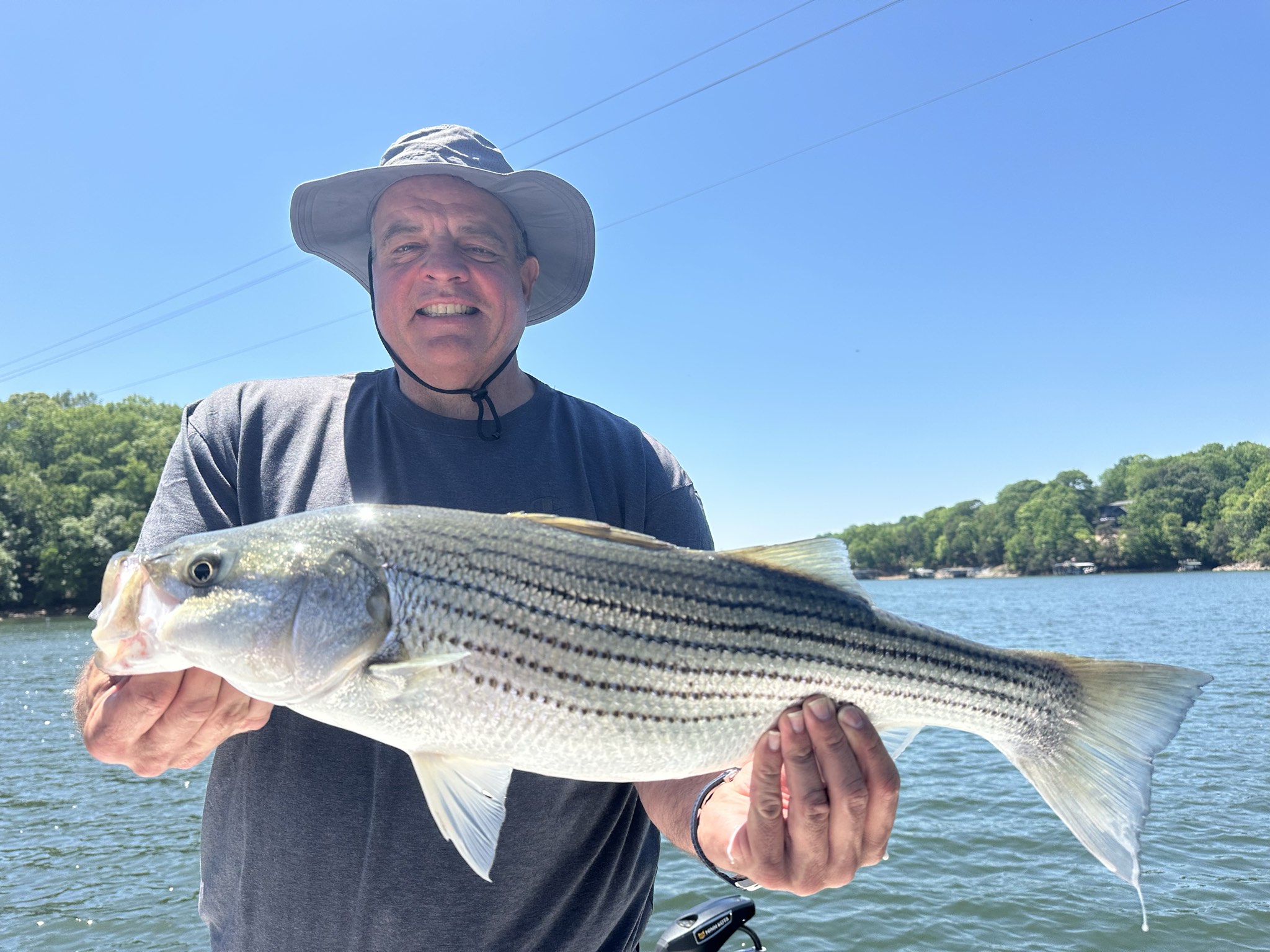 Striped Bass And Spotted Bass On Lake Lanier