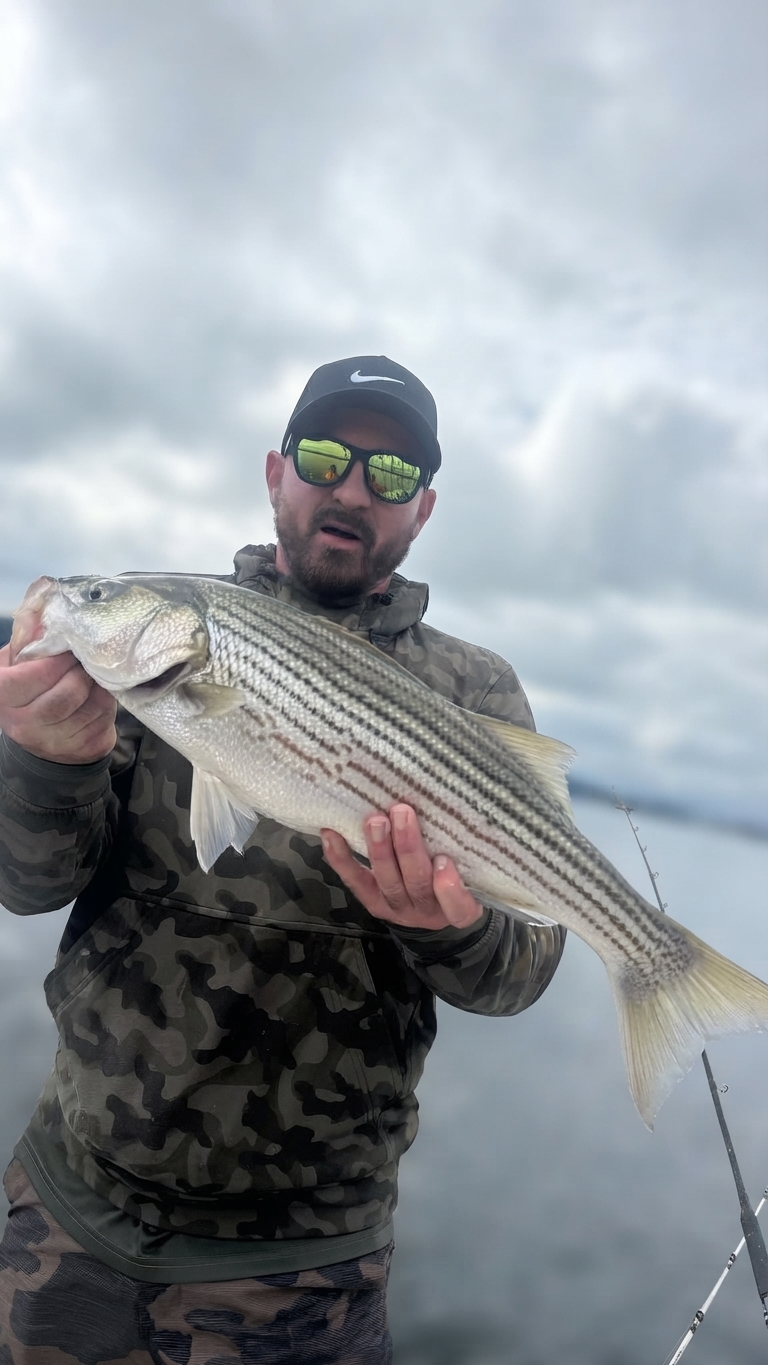 Lake Lanier Channel catfish — October 2026