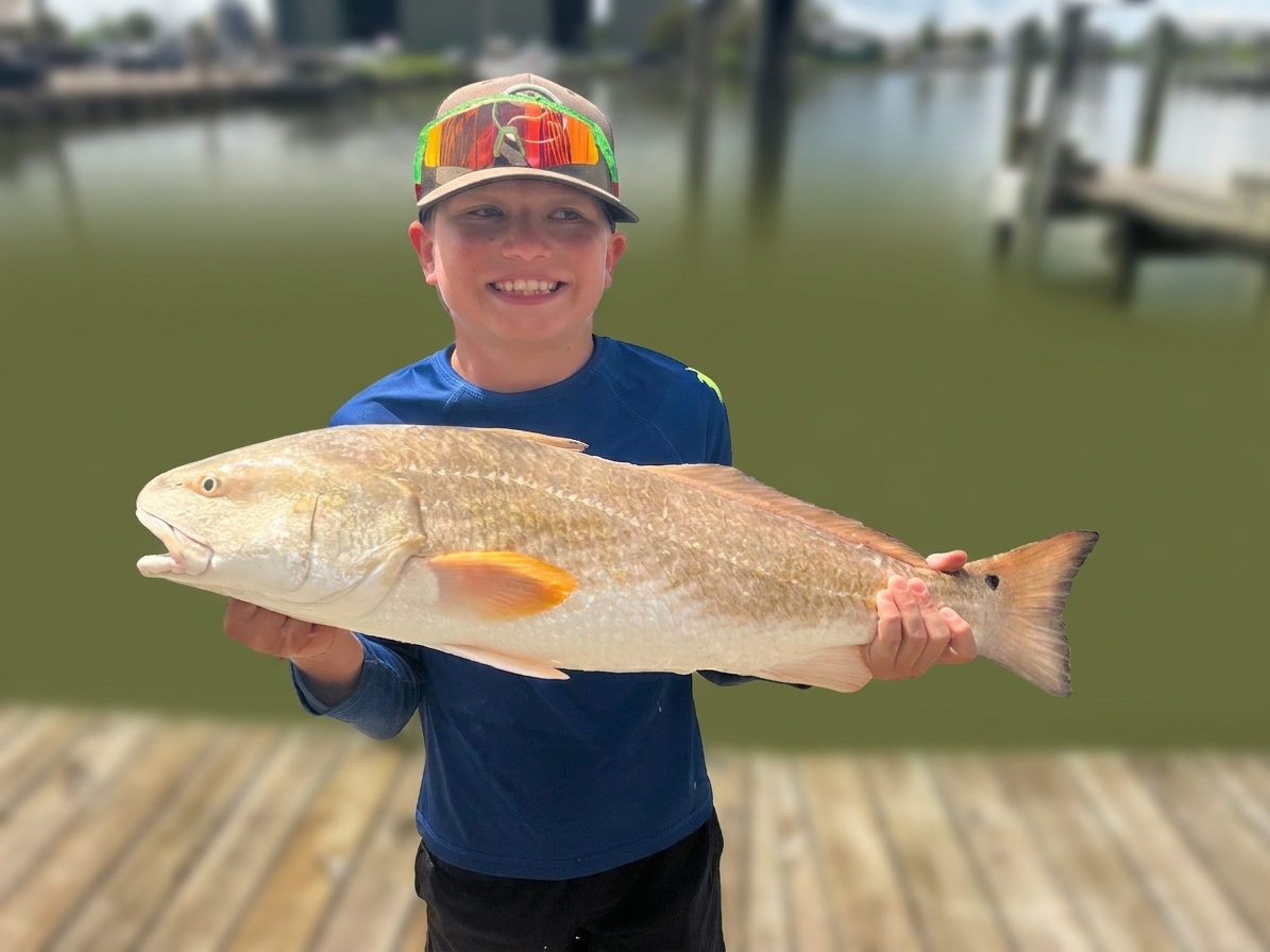 Red drum caught out of Venice, Sept 12, 2026