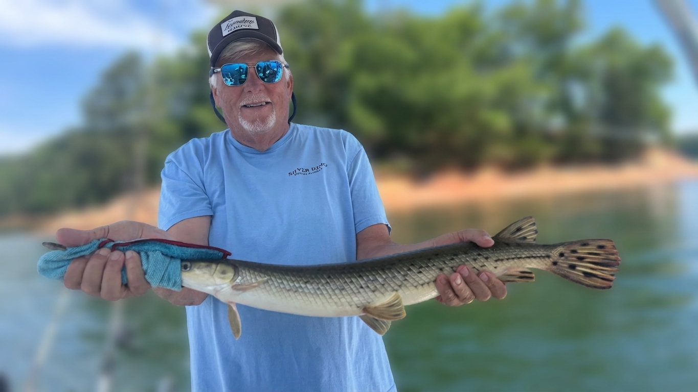 Striped Bass And Spotted Bass Dominate Lake Lanier