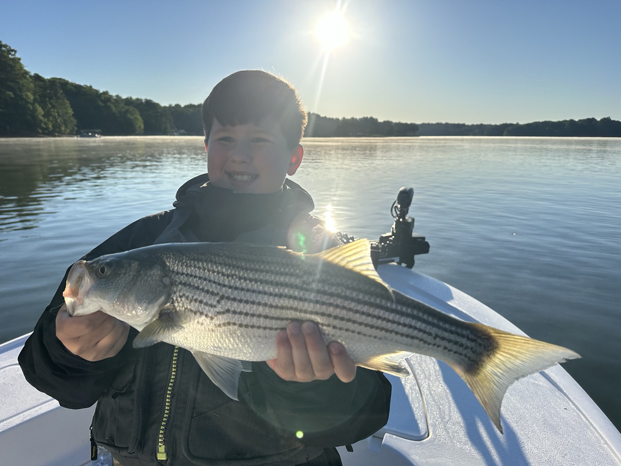 Striped Bass — May 2026