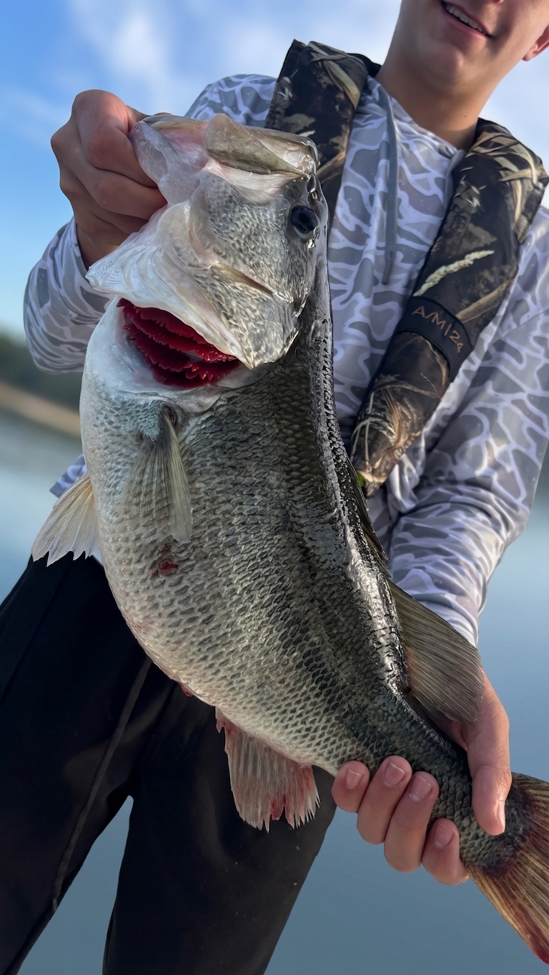 Family Fun: Four Species at Lake Lanier