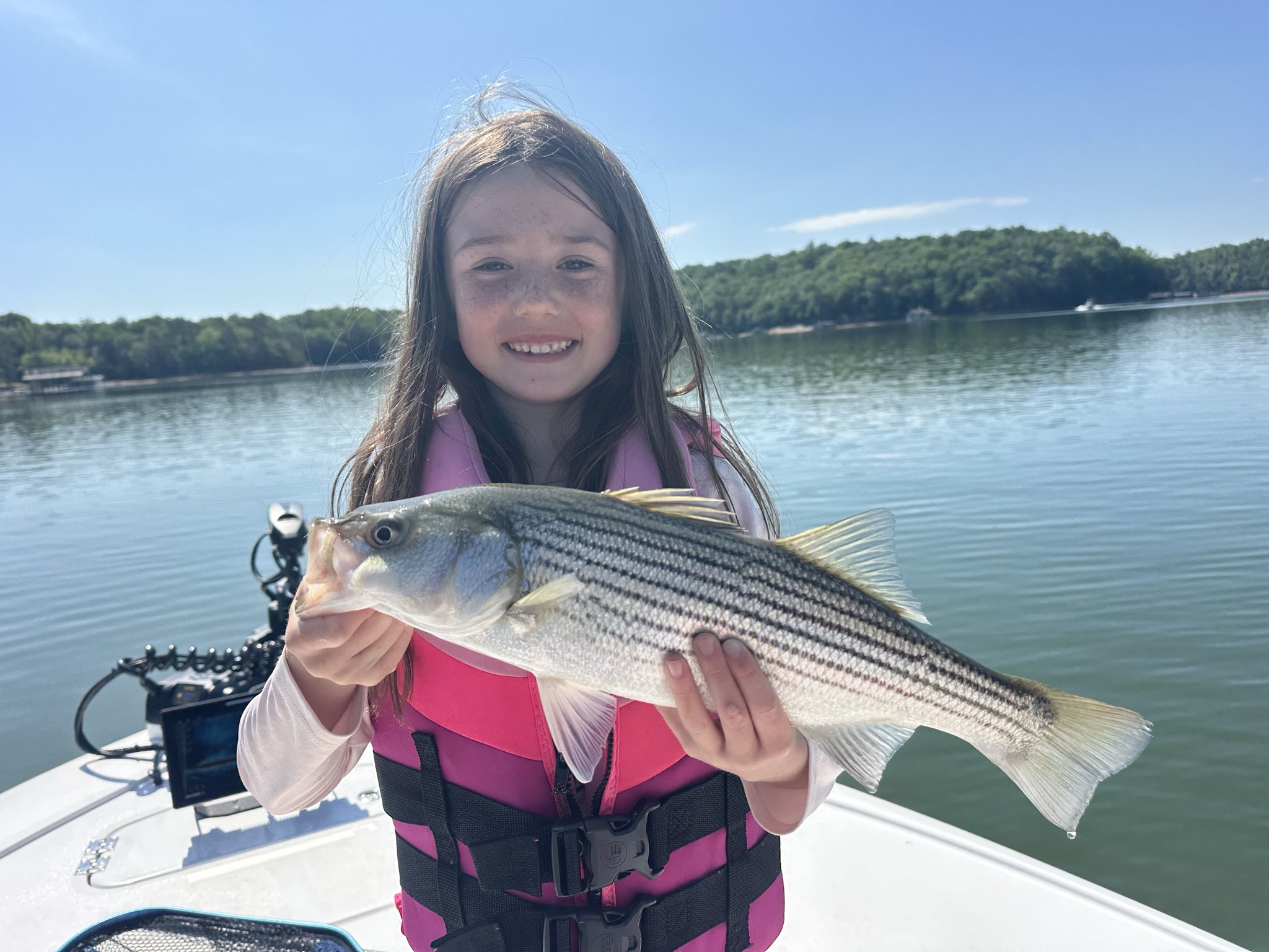Striped Bass — May 2026