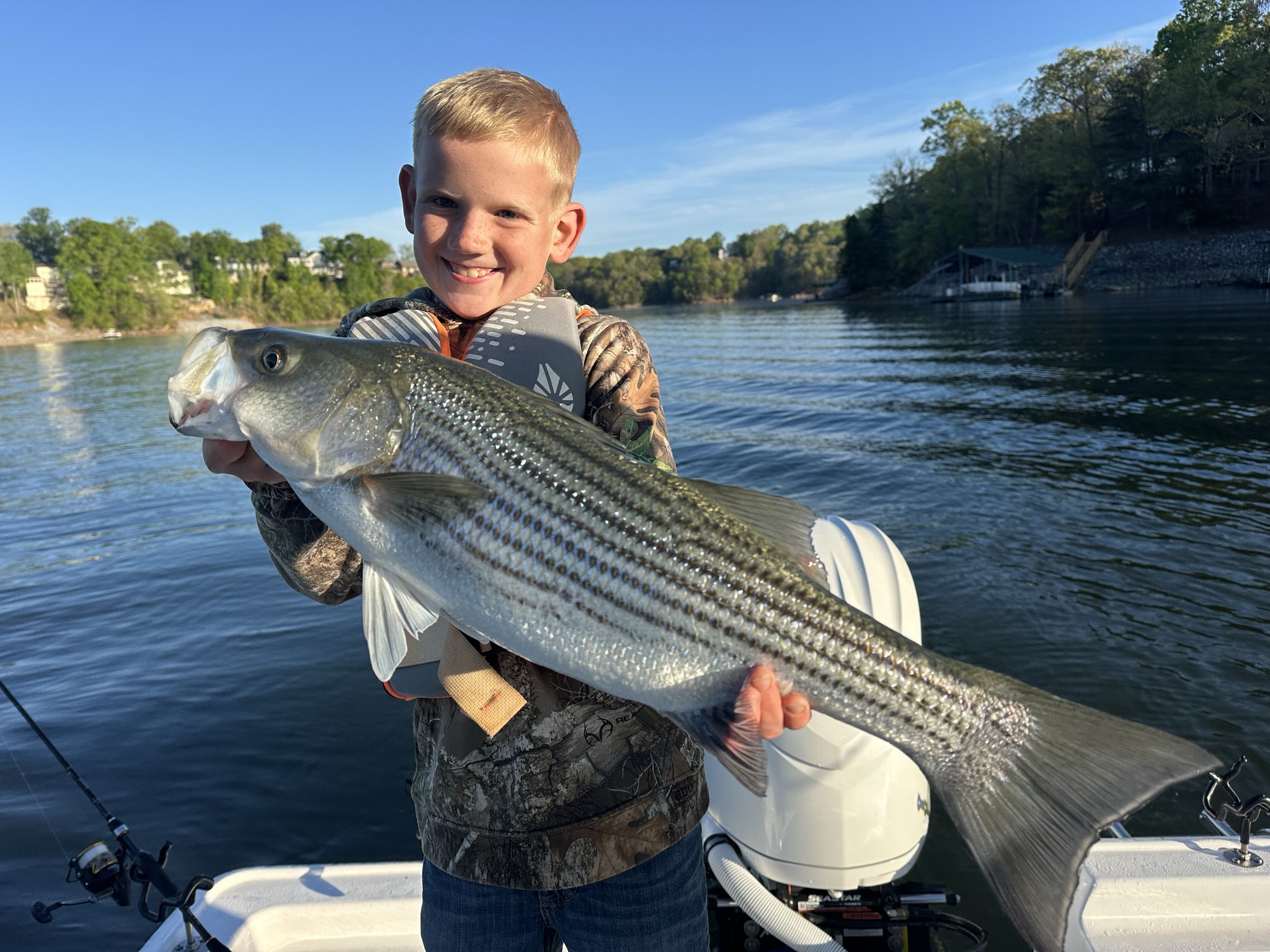 Striped Bass — April 2026