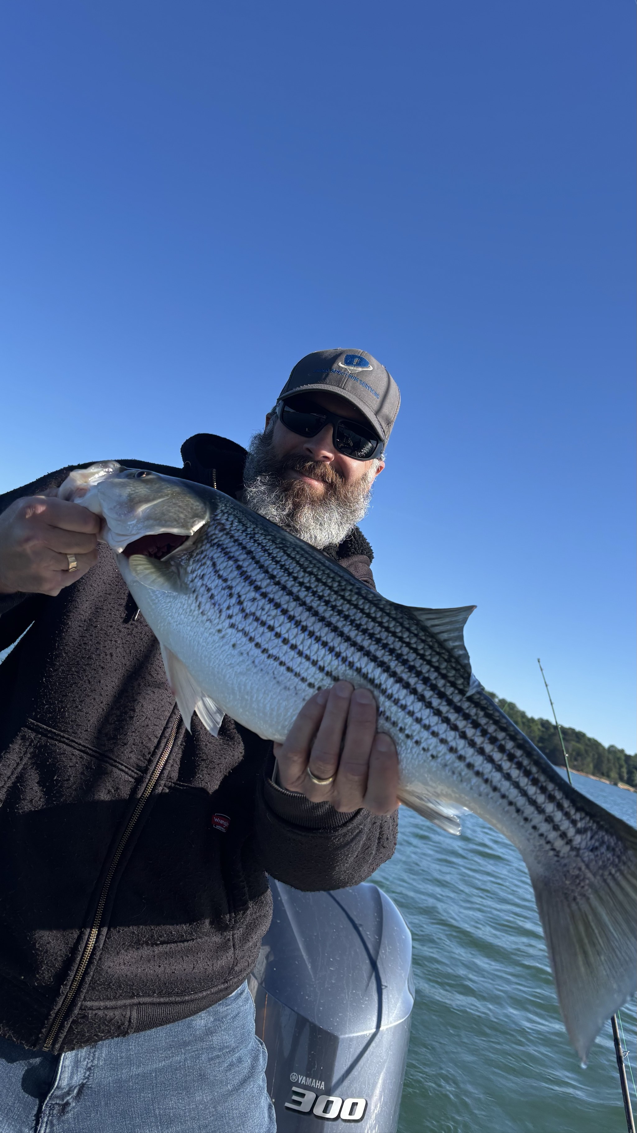 May Striped Bass And Spotted Bass On Lake Lanier