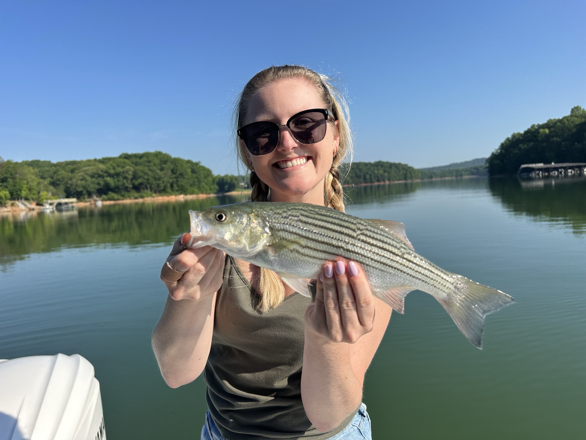 Striped Bass — May 2026