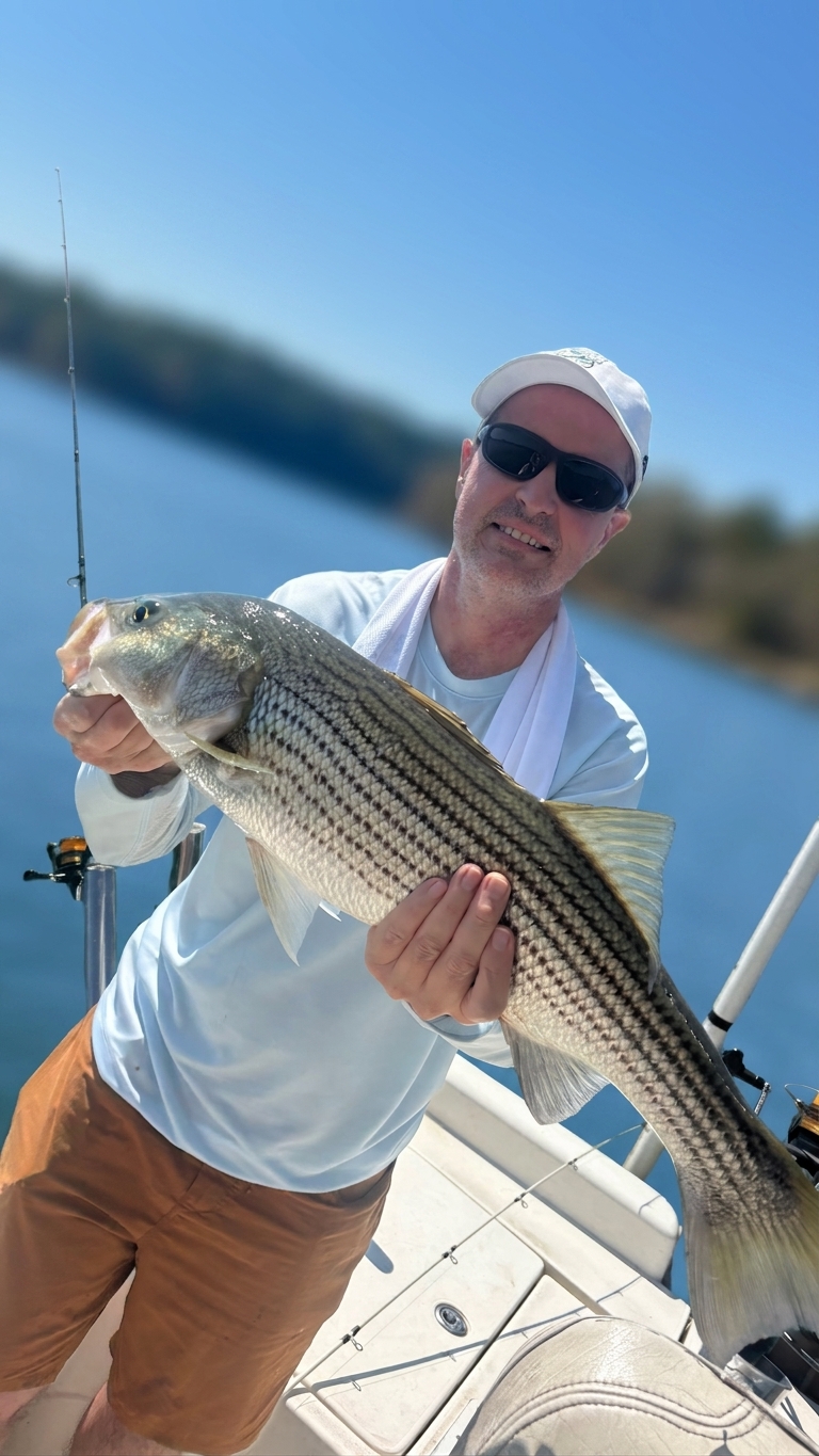 Striped bass caught on Lake Lanier, Sept 5, 2026