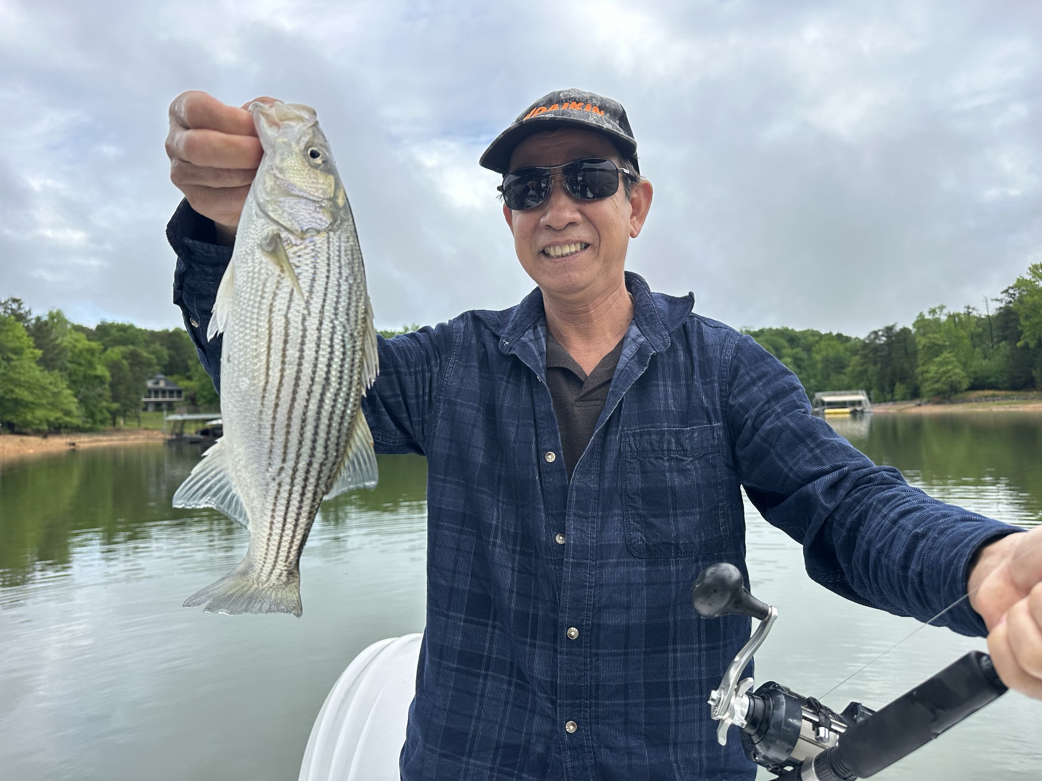 Lake Lanier May Striped Bass Success